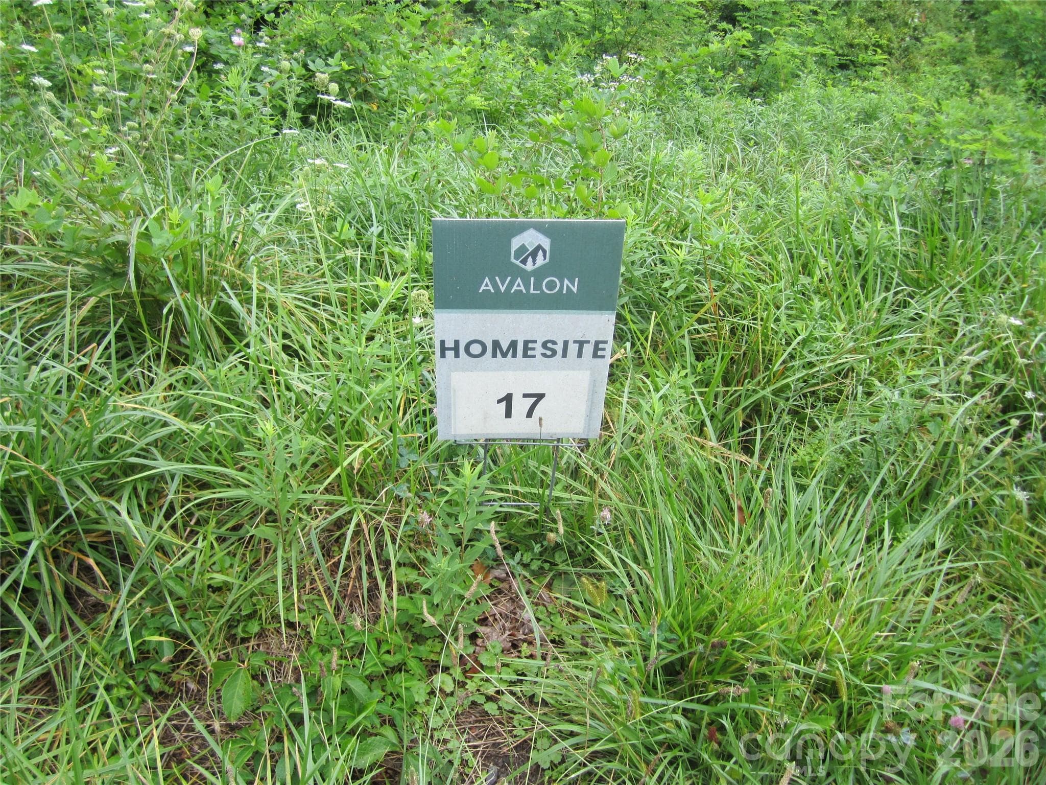 Lot at Waynesville, photo 4 of 6