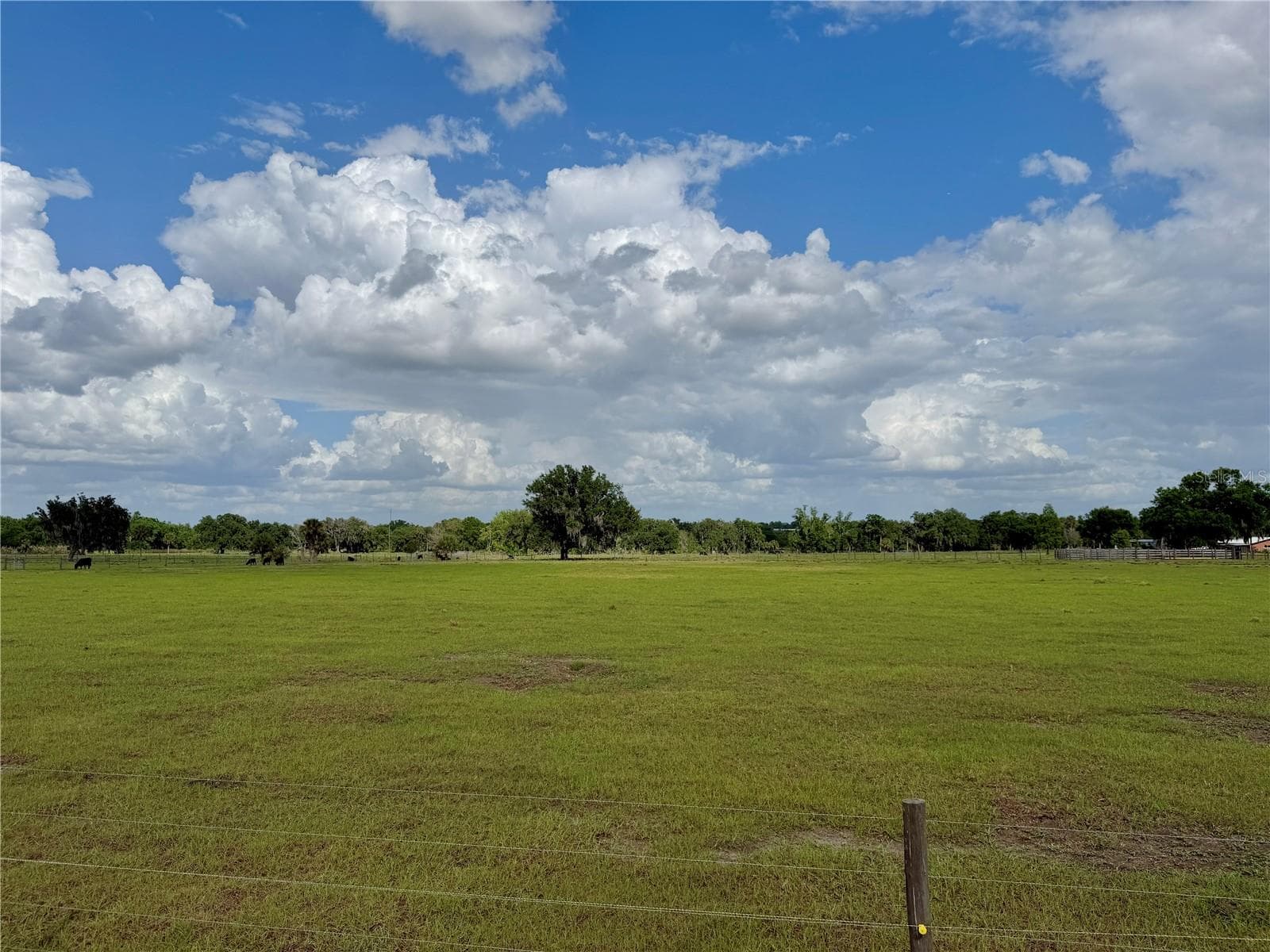 Land at W ST RD 64, WAUCHULA, photo 4 of 9