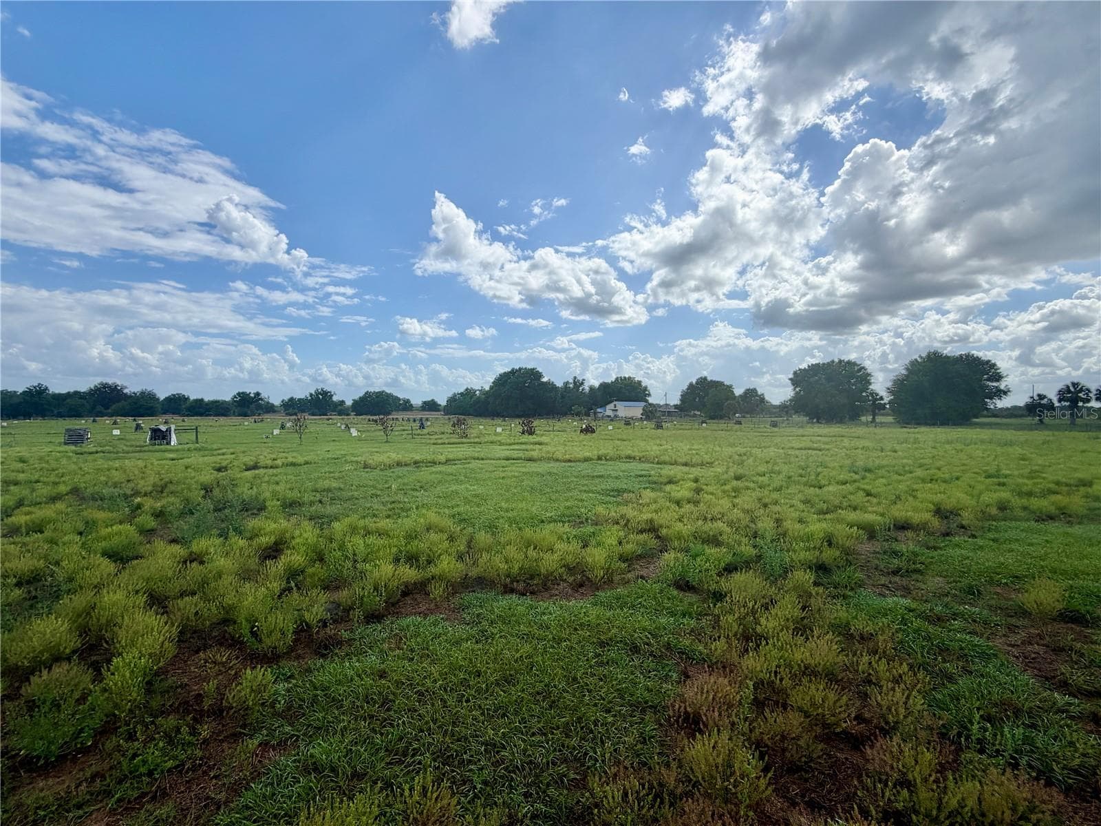 Land at W ST RD 64, WAUCHULA, photo 7 of 9