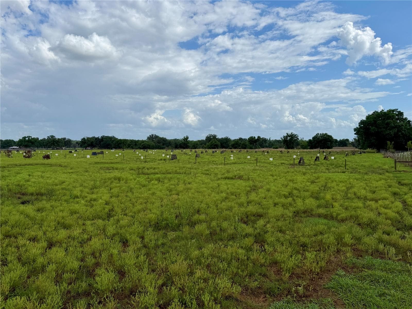 Land at W ST RD 64, WAUCHULA, photo 9 of 9