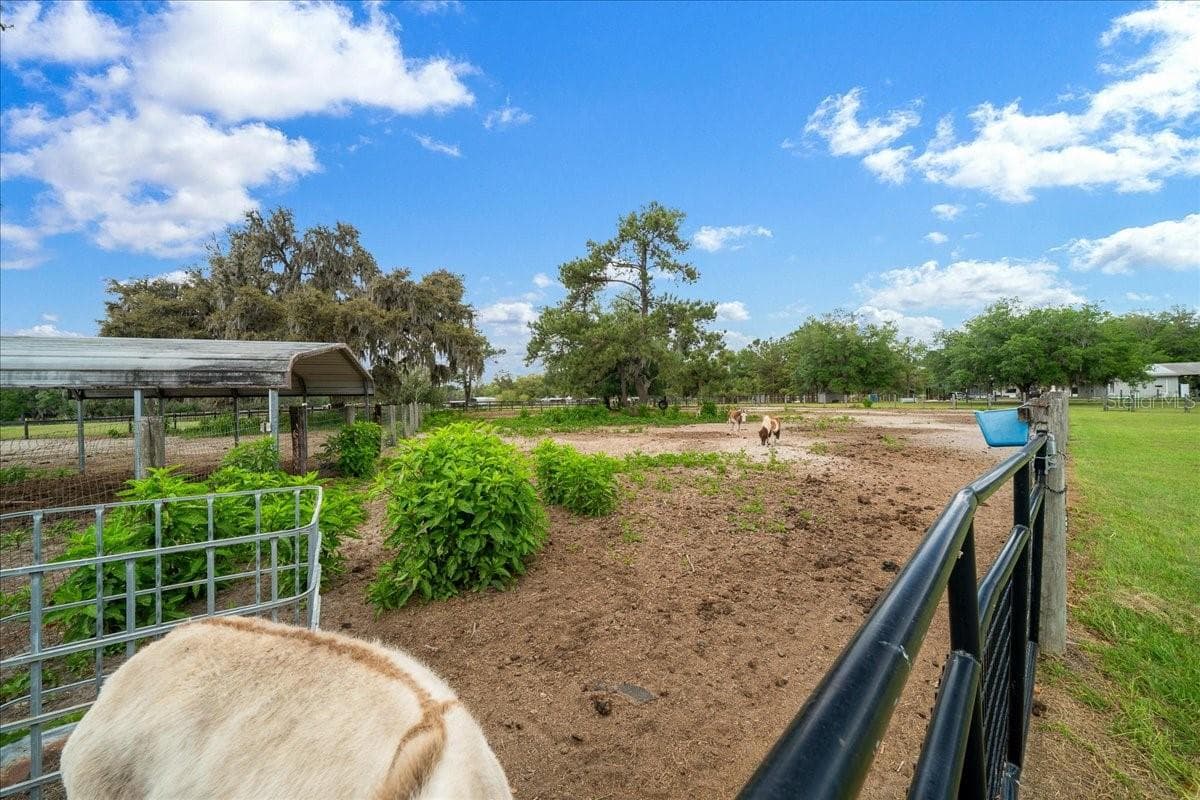 Farm at 13456 W HIGHWAY 318, WILLISTON, photo 58 of 58