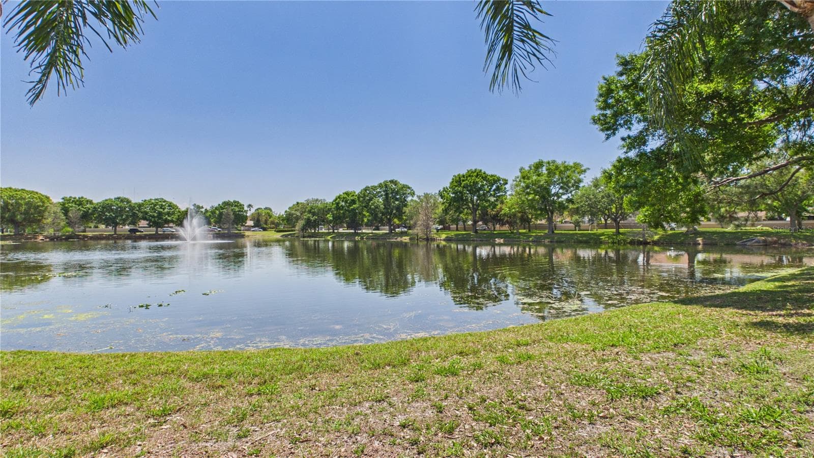Single Family Residence at 8609 BOYSENBERRY DR, TAMPA, photo 44 of 52