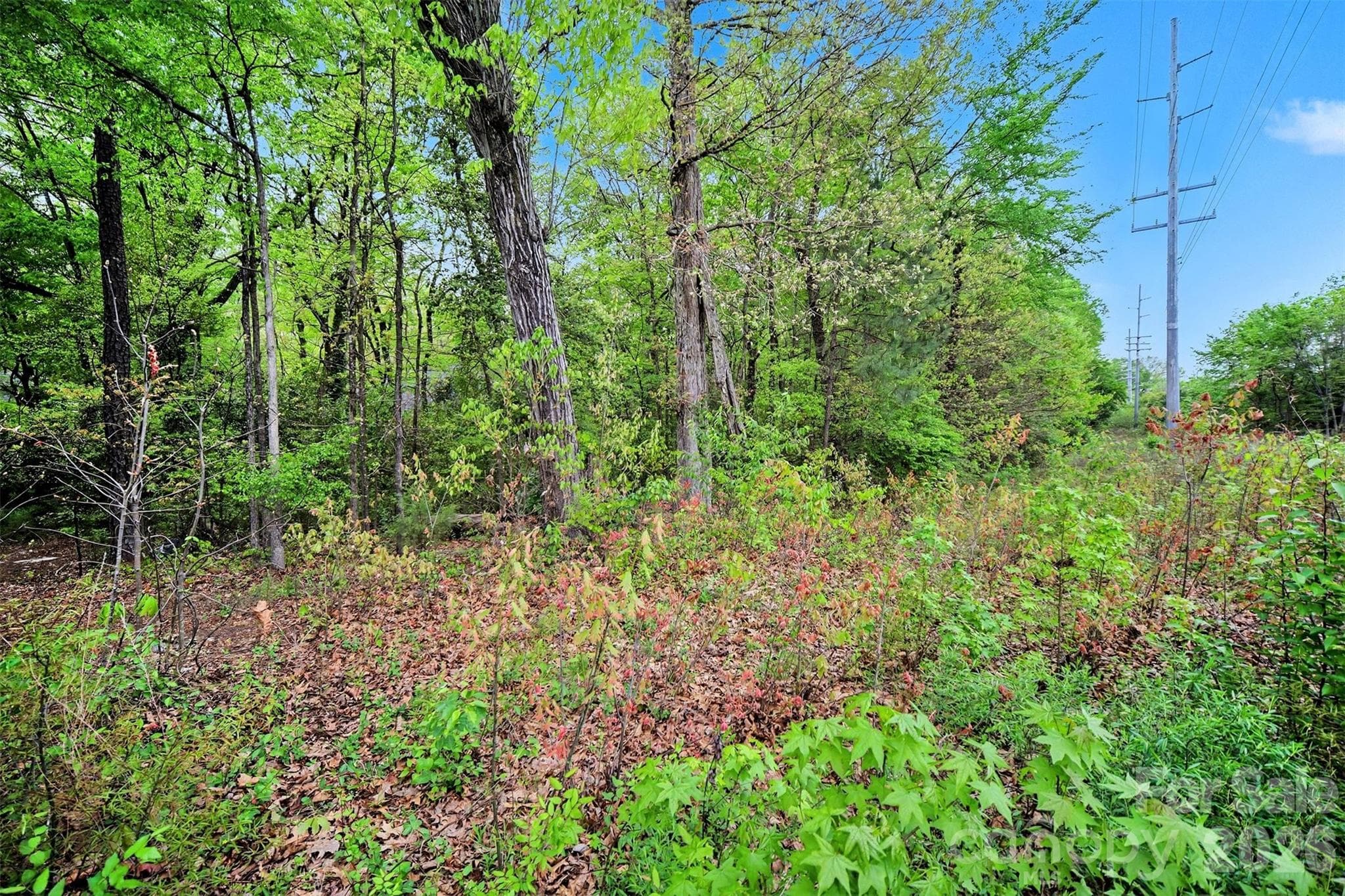 Unimproved Commercial at Monroe, photo 23 of 26