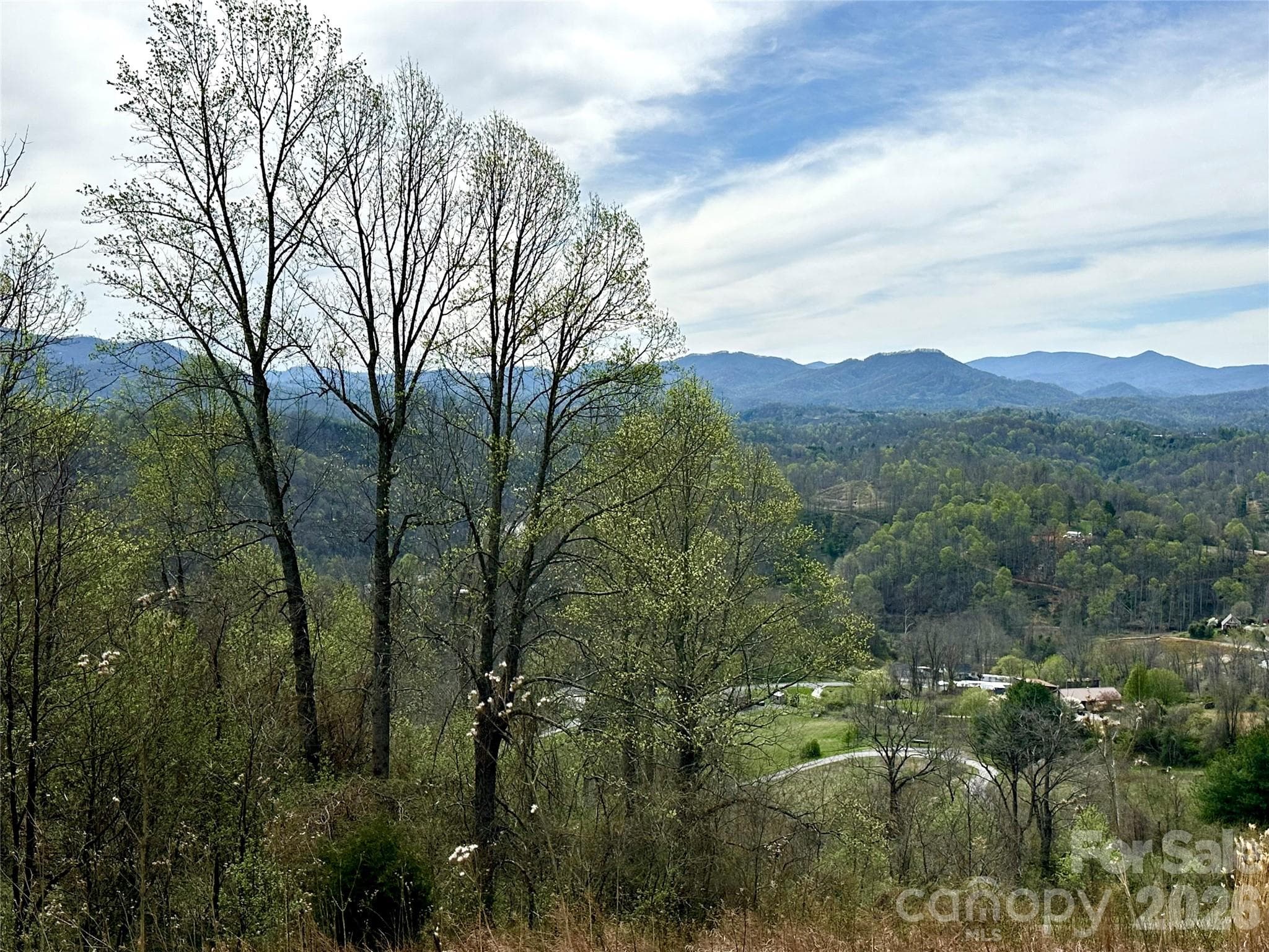 Lot at Bakersville, photo 3 of 18
