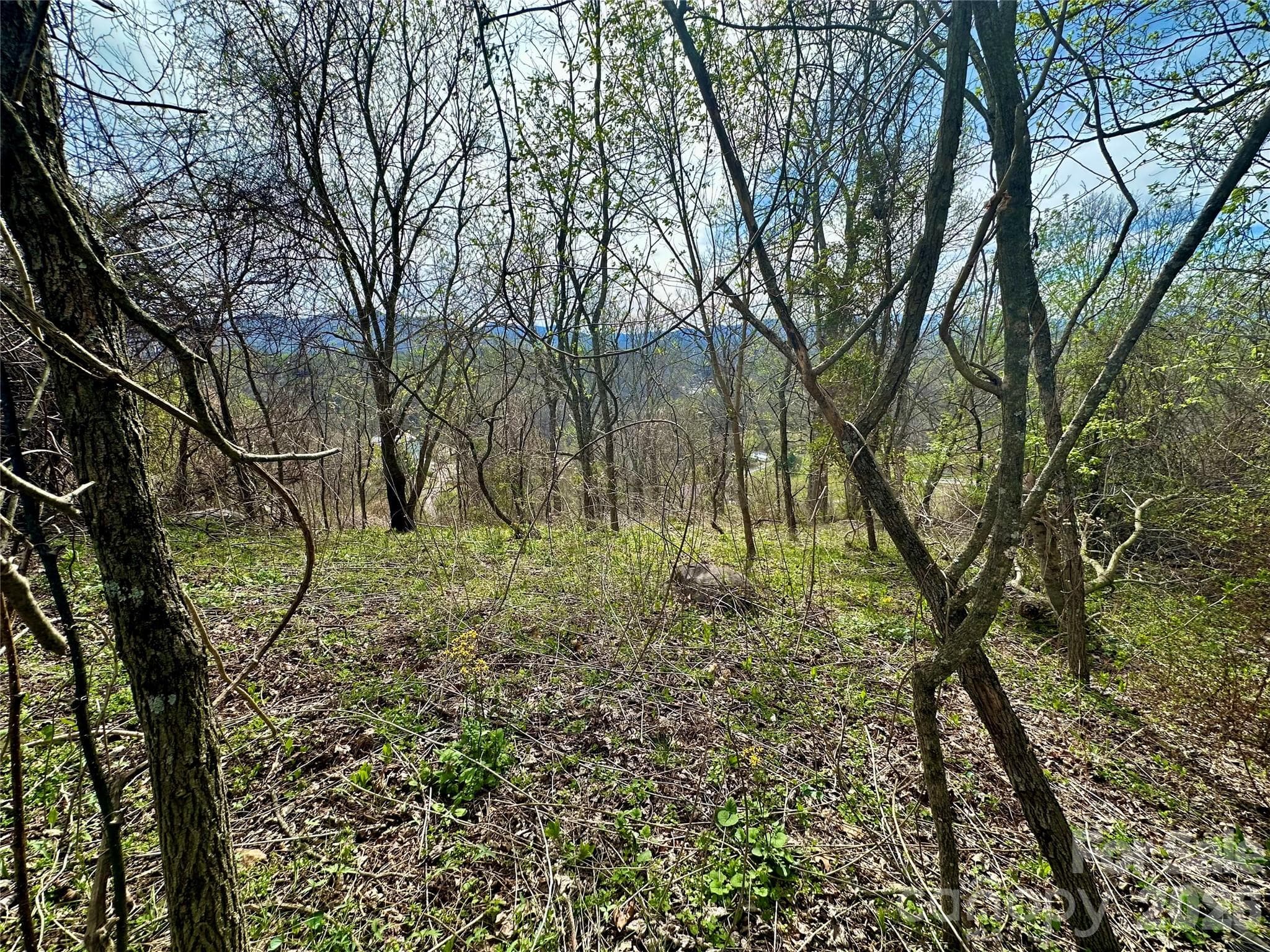 Lot at Bakersville, photo 6 of 18