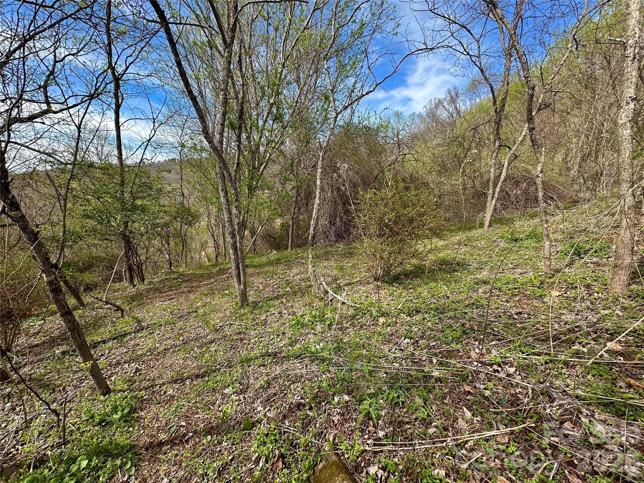 Lot at Bakersville, photo 7 of 18