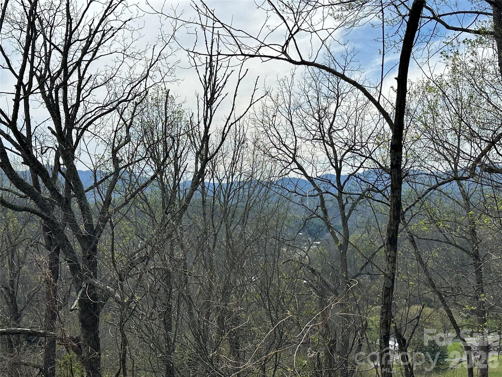 Lot at Bakersville, photo 9 of 18
