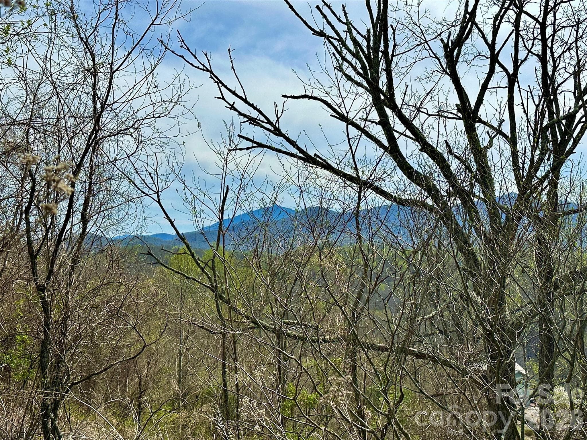 Lot at Bakersville, photo 10 of 18