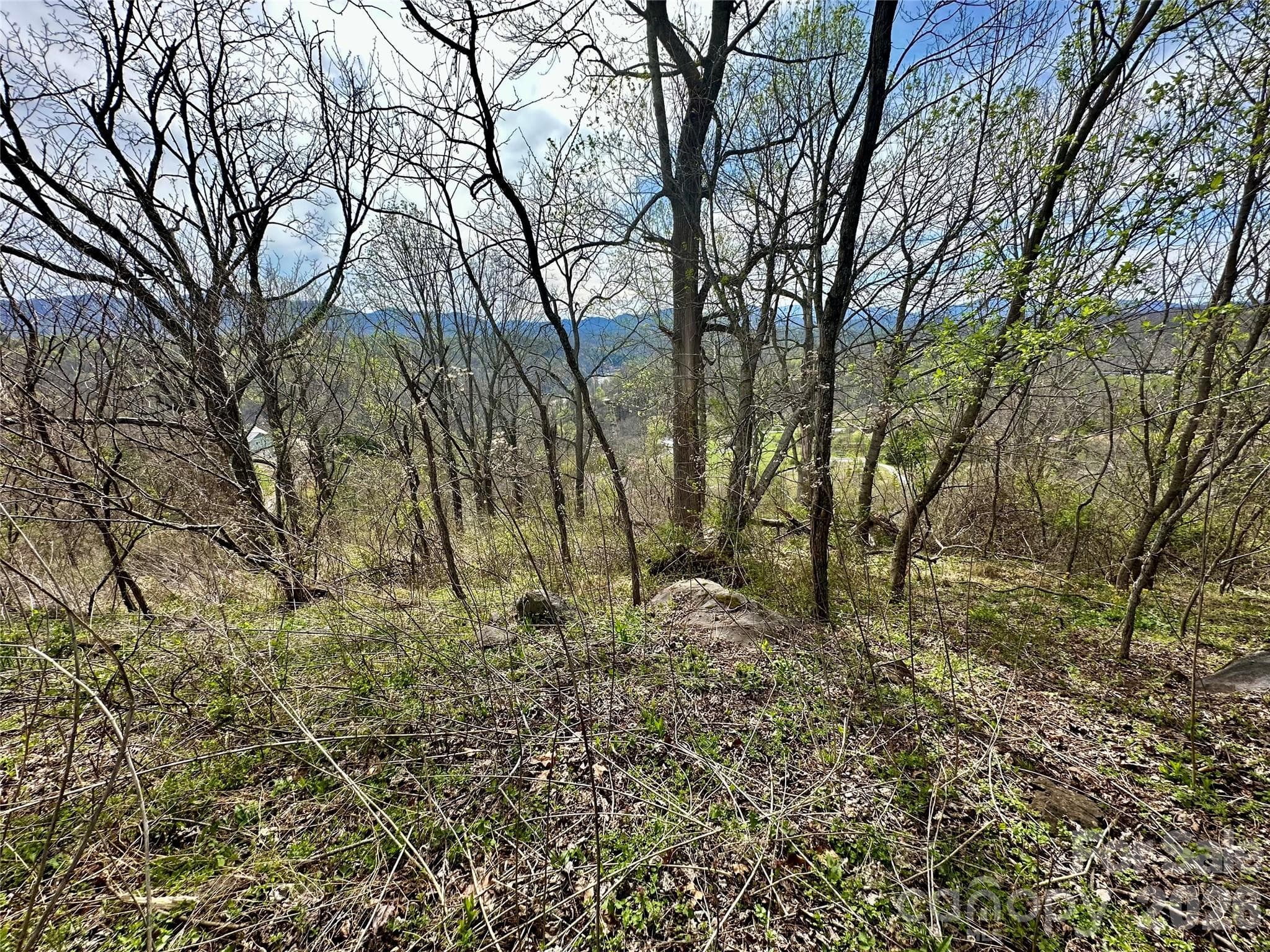 Lot at Bakersville, photo 11 of 18