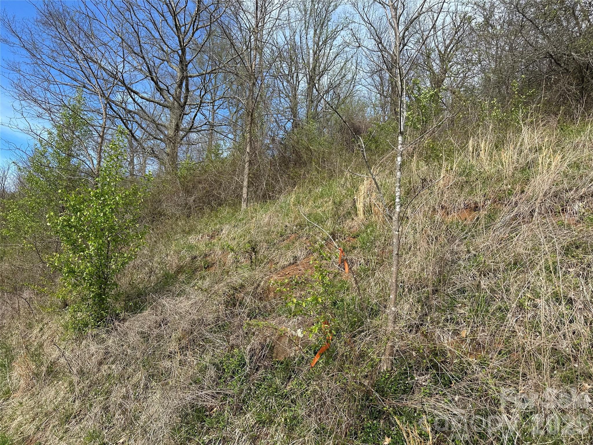 Lot at Bakersville, photo 12 of 18