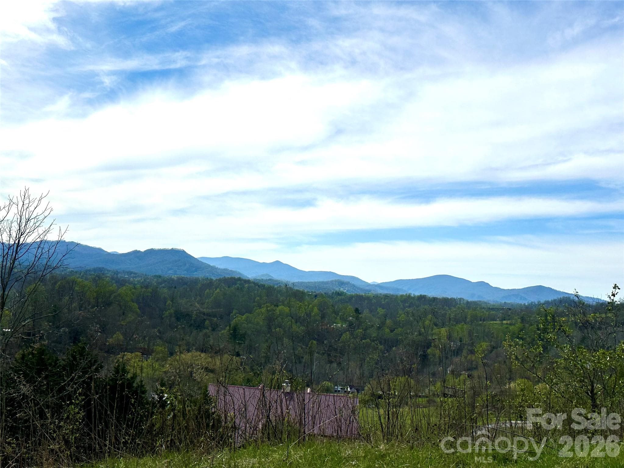 Lot at Bakersville, photo 13 of 18