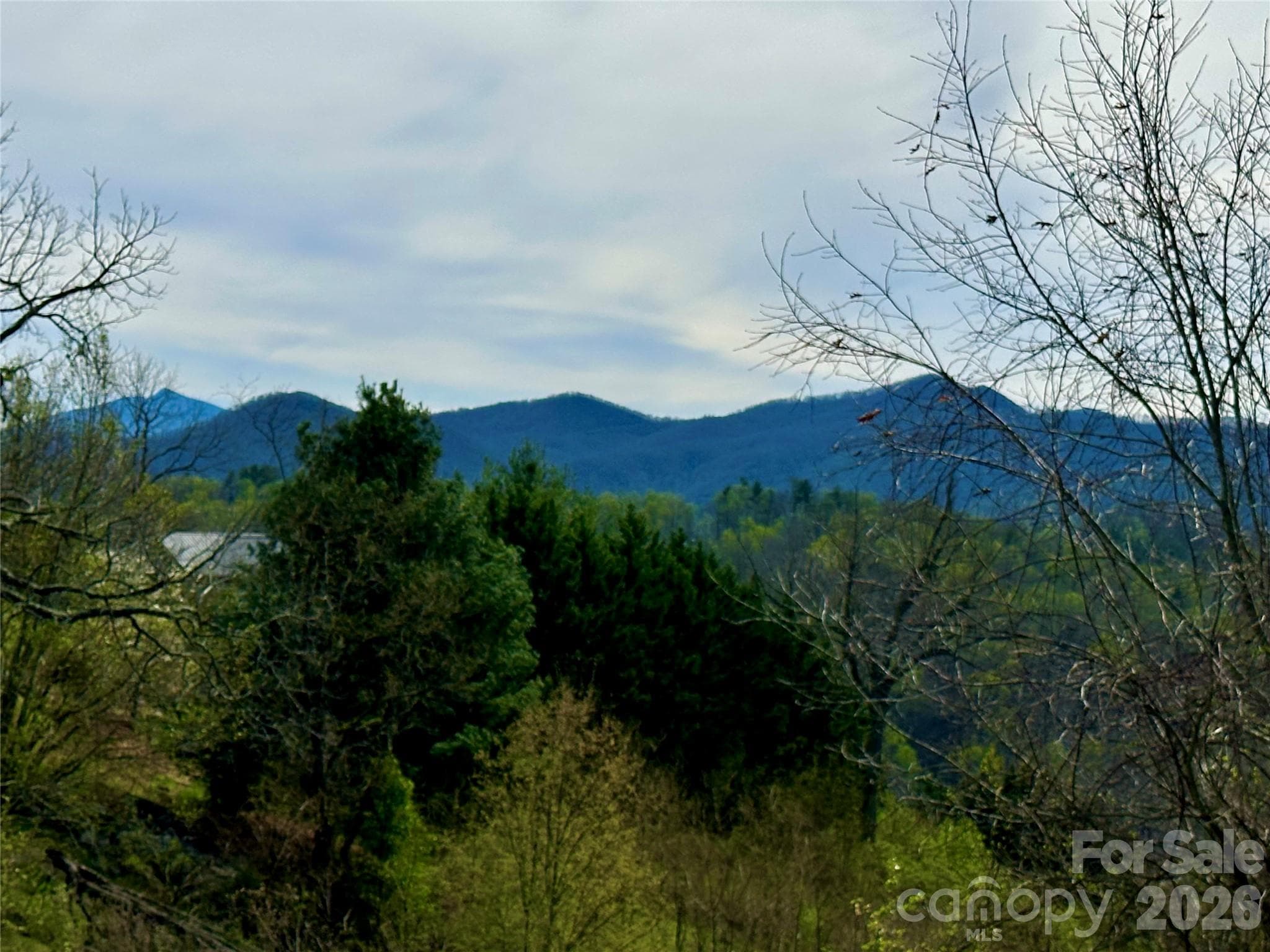 Lot at Bakersville, photo 14 of 18