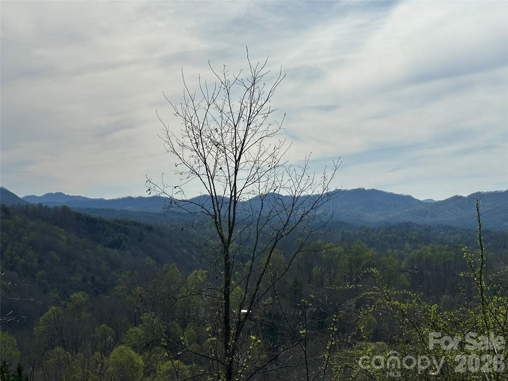 Lot at Bakersville, photo 15 of 18