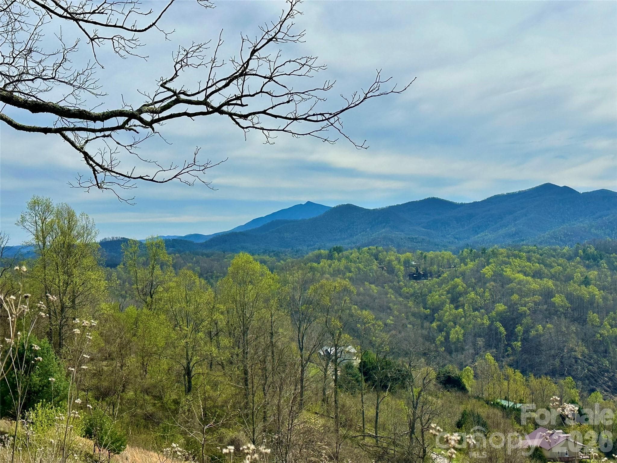 Lot at Bakersville, photo 16 of 18