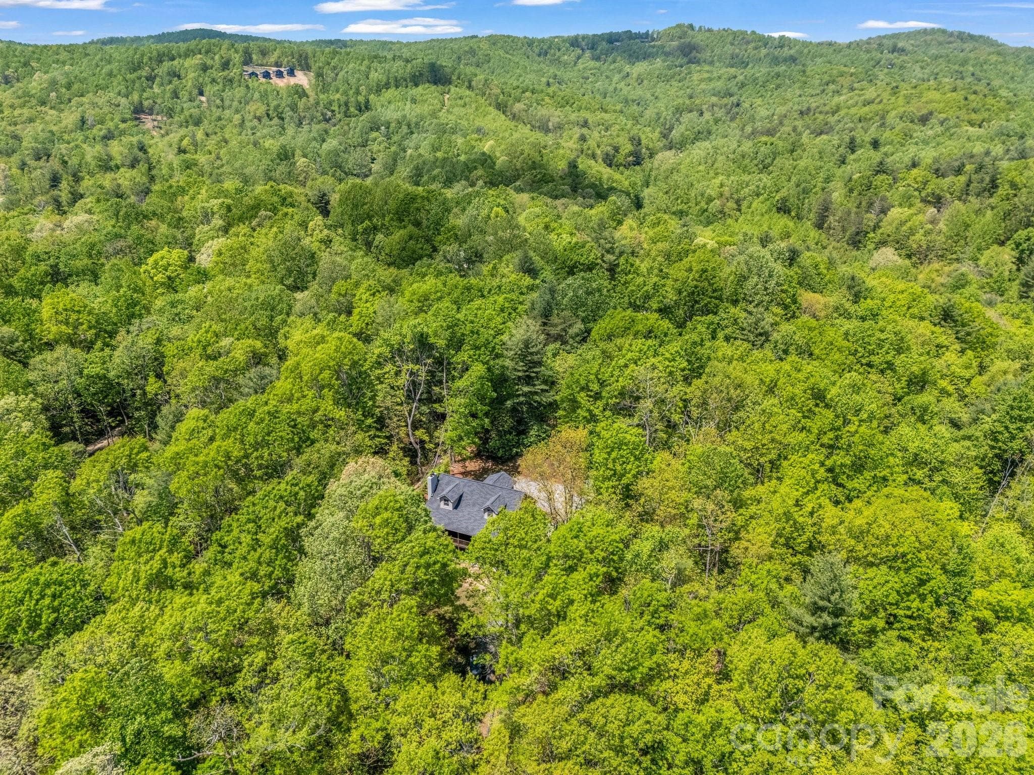 Private Mountain Living, yet convenient to Downtown Saluda, Greenville & Hendersonville - 2304 Mountain Page Road, Saluda