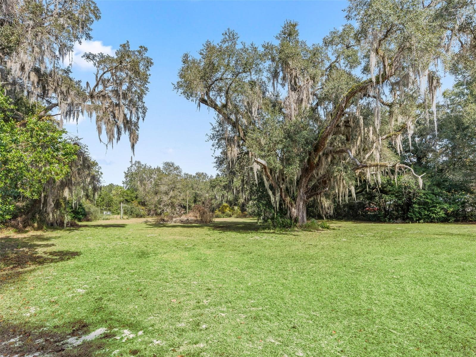 Single Family Residence at 10487 SE HIGHWAY 42, SUMMERFIELD, photo 58 of 74