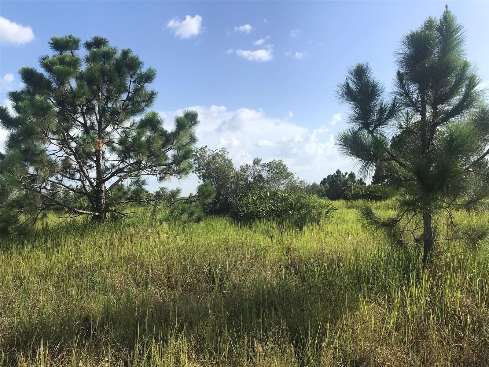 Land at 48033 BERMONT RD, PUNTA GORDA, photo 13 of 28