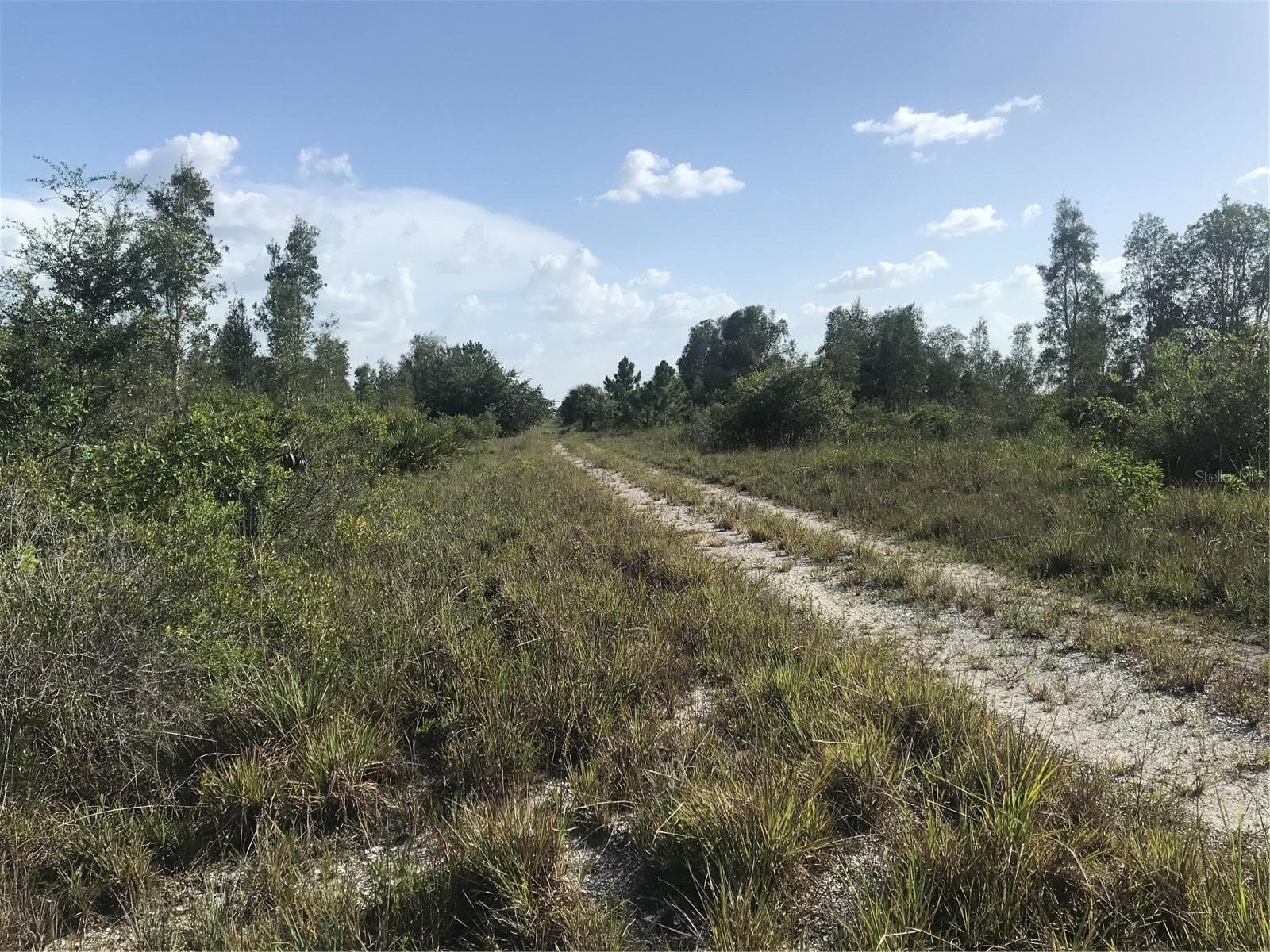 Access to the lake on 30 acres. - 48033 BERMONT RD, PUNTA GORDA