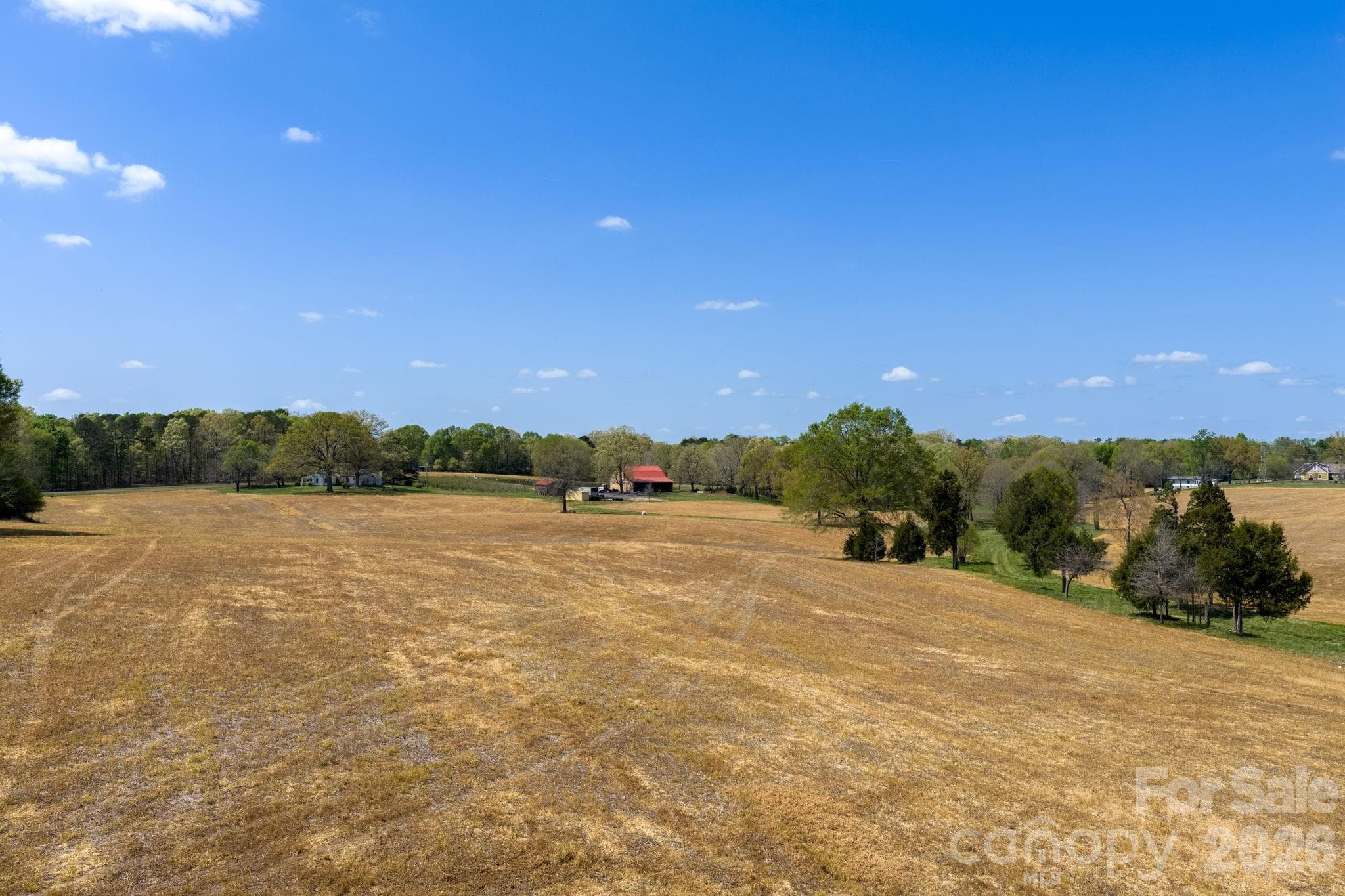 Conservation easement allows for a 1-acre building envelope (view from the 1-acre building envelope) - 32286 Laton Road, Albemarle
