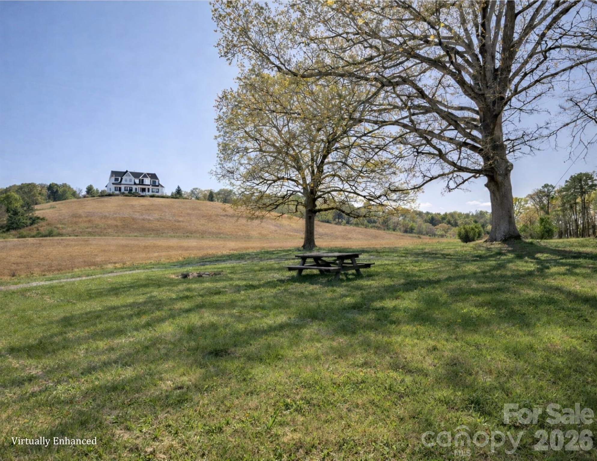 View of the building site - 32286 Laton Road, Albemarle