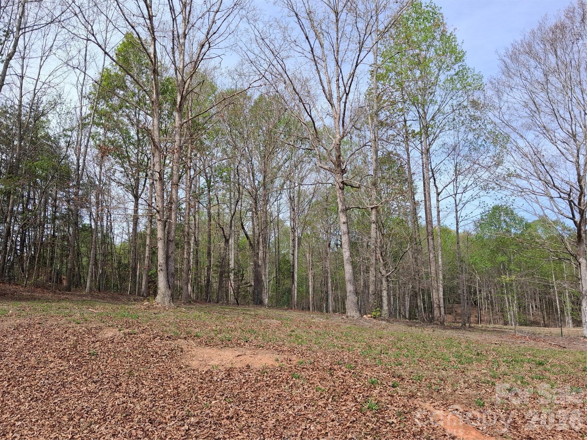Acreage at Nebo, photo 3 of 18