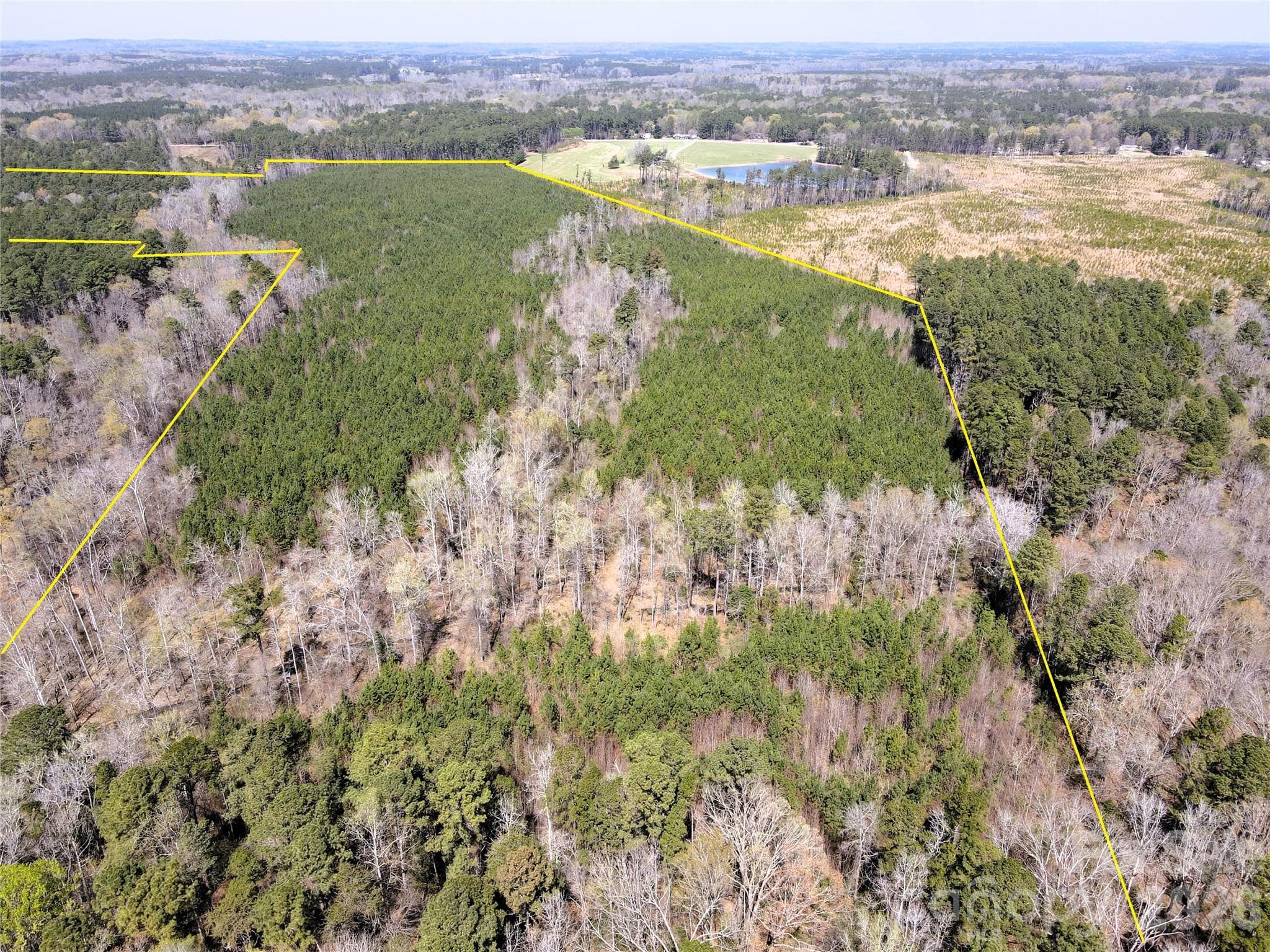 Looking North from the South property line - Chapel Hill