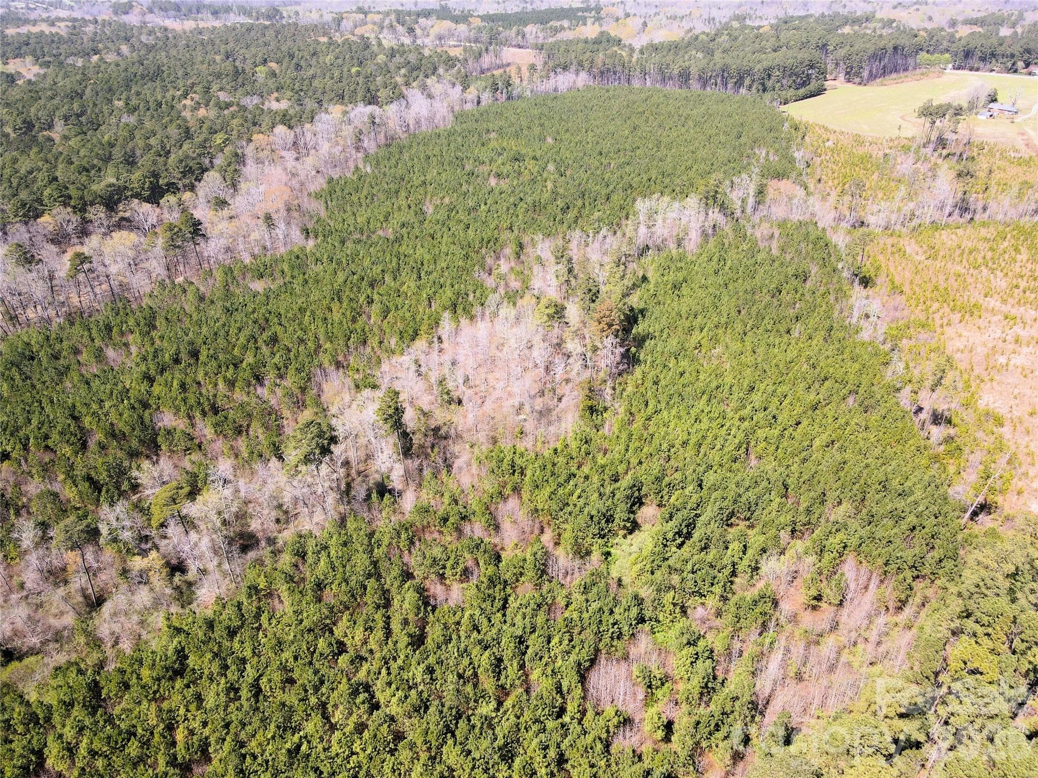 Looking NW from the SW - Chapel Hill