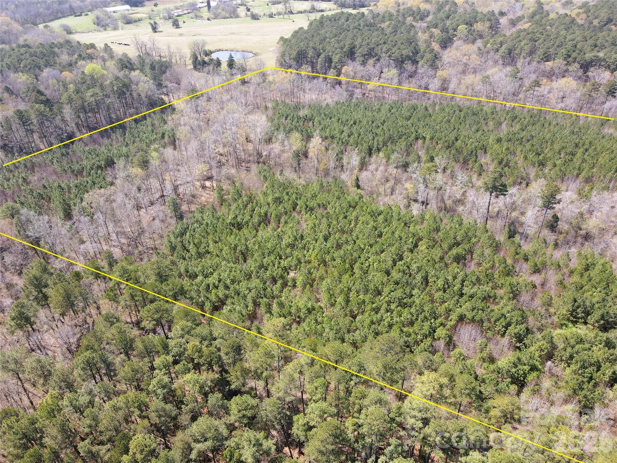 Acreage at Chapel Hill, photo 7 of 24