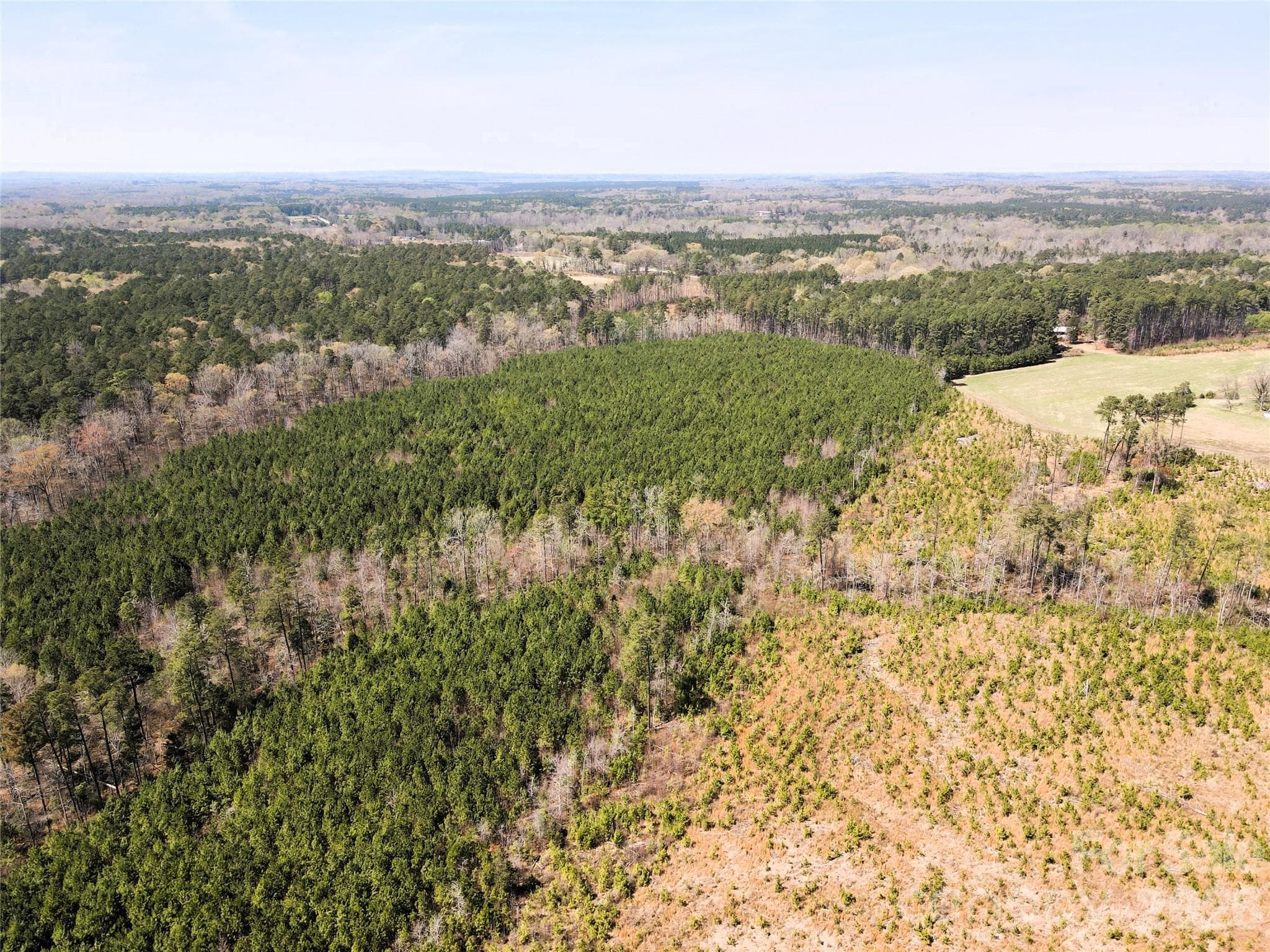 Looking NW from the SW - Chapel Hill