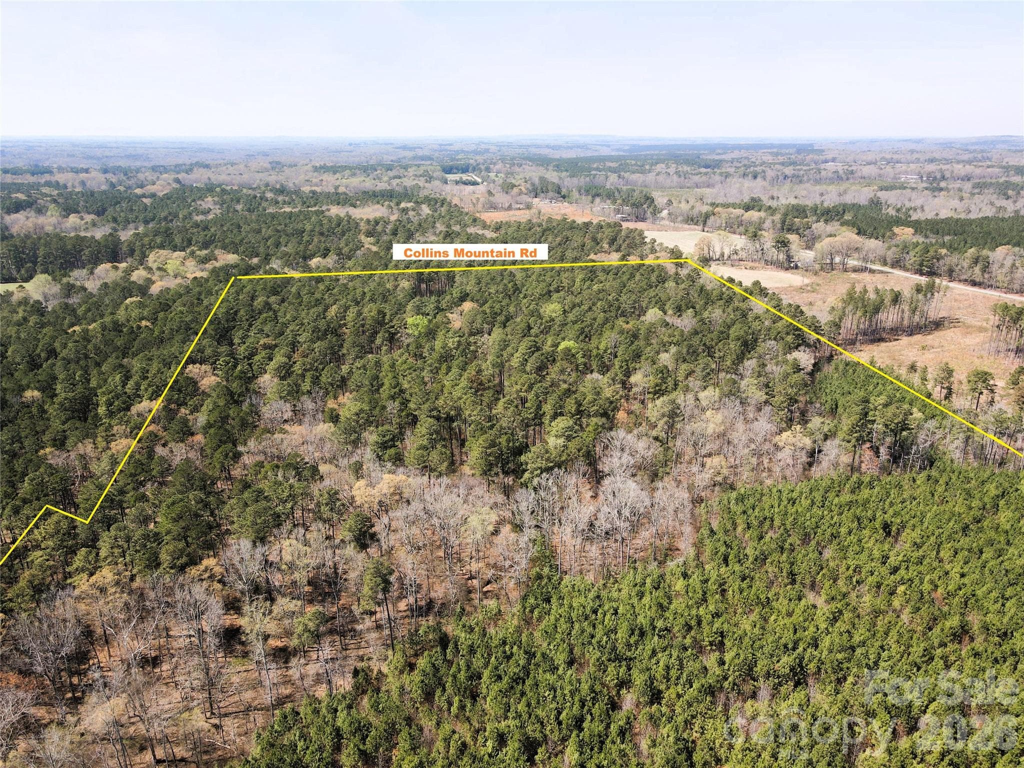 Look West towards Collins Mountain Rd - Chapel Hill