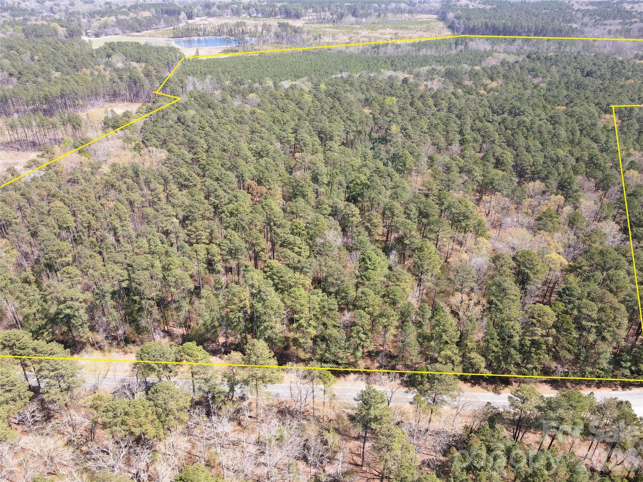 Looking East from across Collins Mountain Rd - Chapel Hill