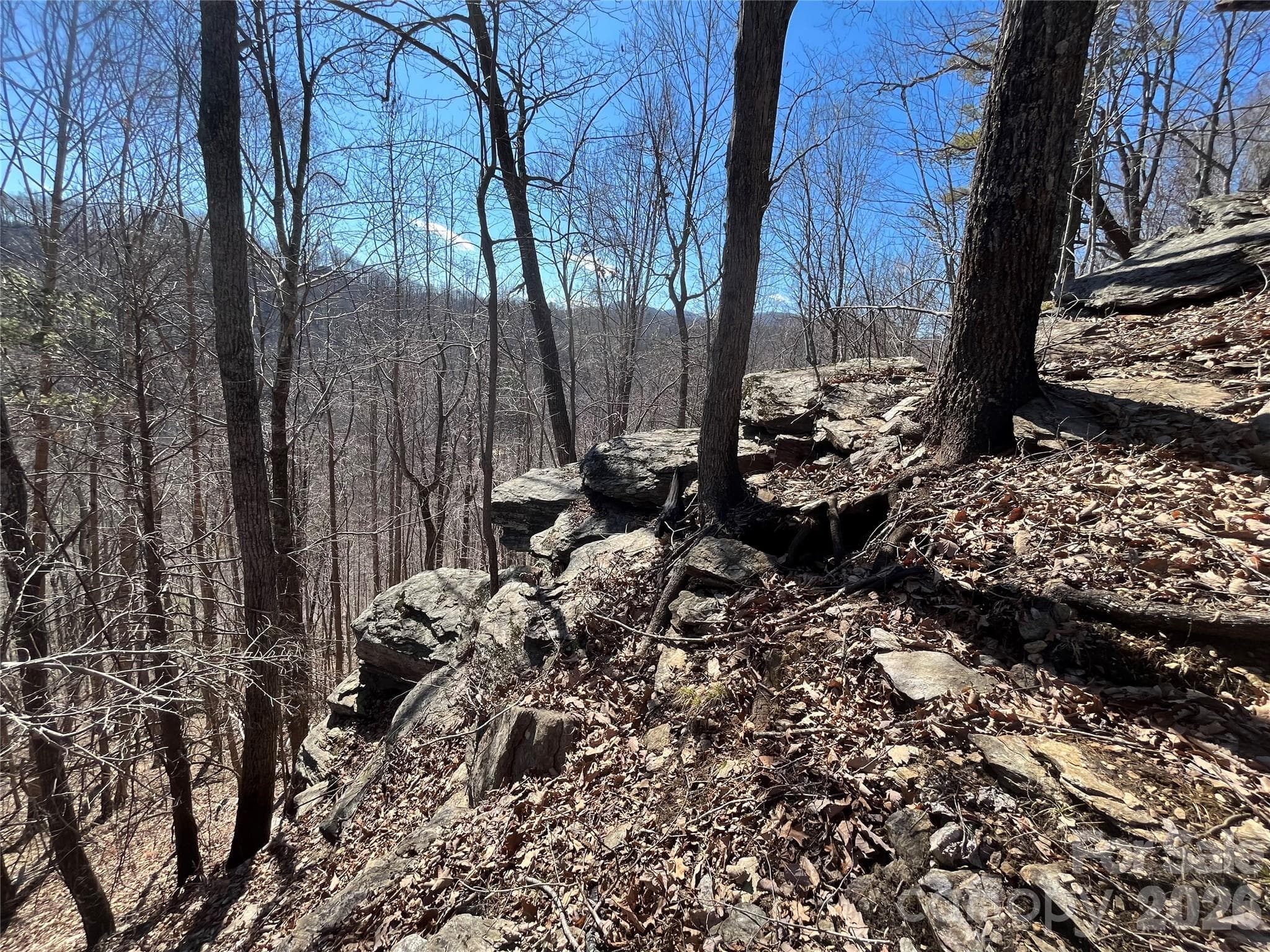 Acreage at TBD Powder Horn Road, Deep Gap, photo 7 of 38