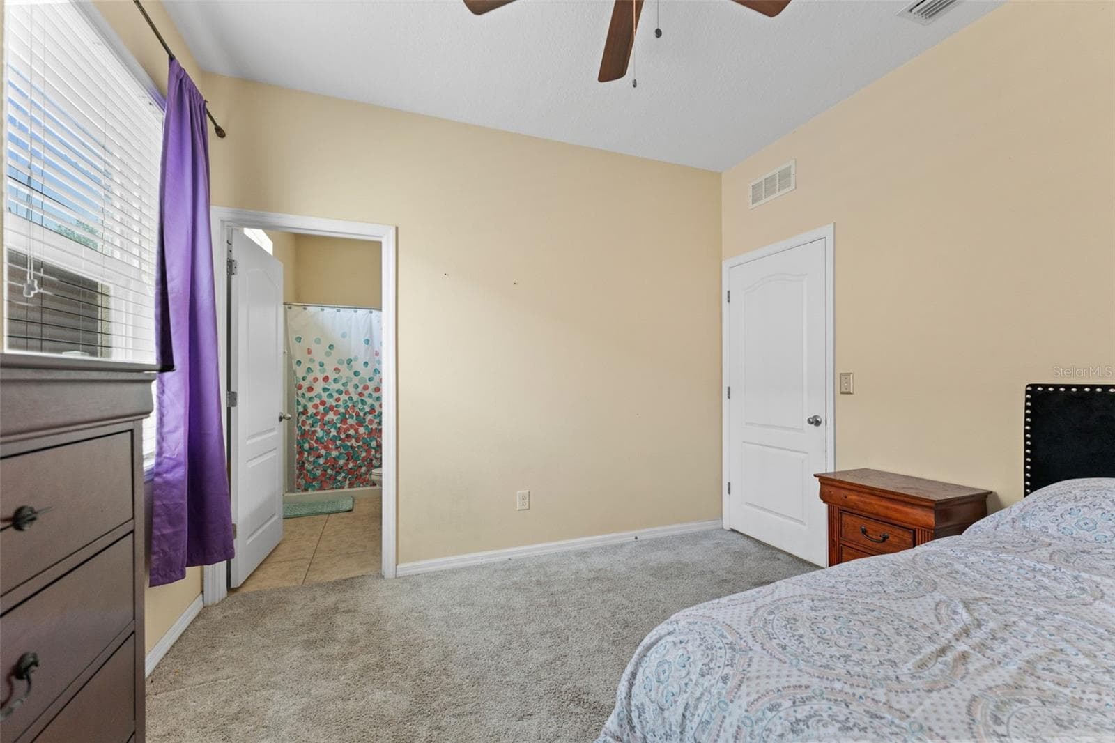 Bedroom #5 with en-suite and walk-in closet (Downstairs) - 11620 WARREN OAKS PL, RIVERVIEW