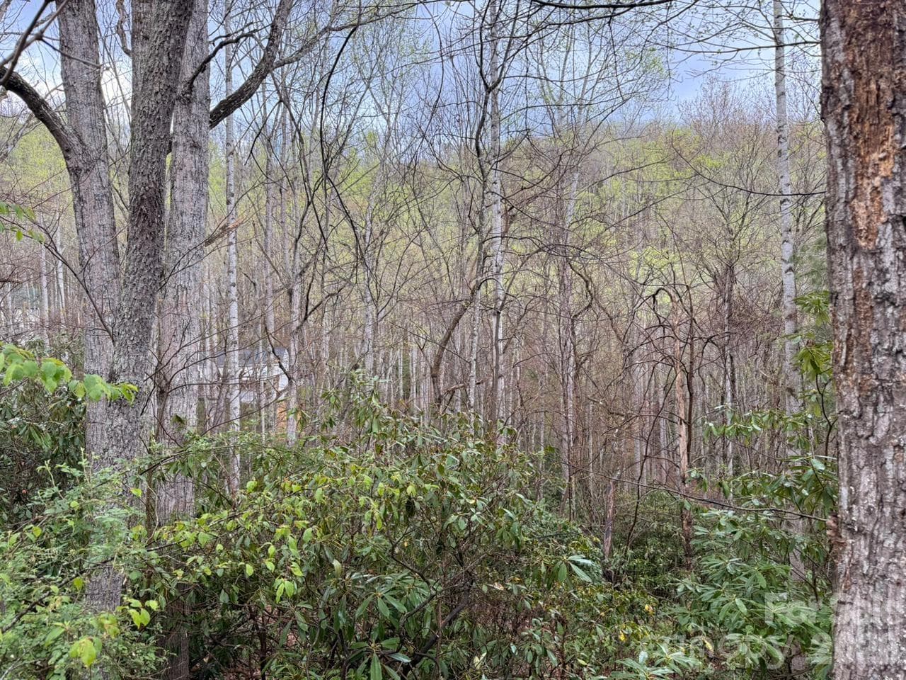 Lot at 000 Ridgeview Drive, Hendersonville, photo 5 of 20