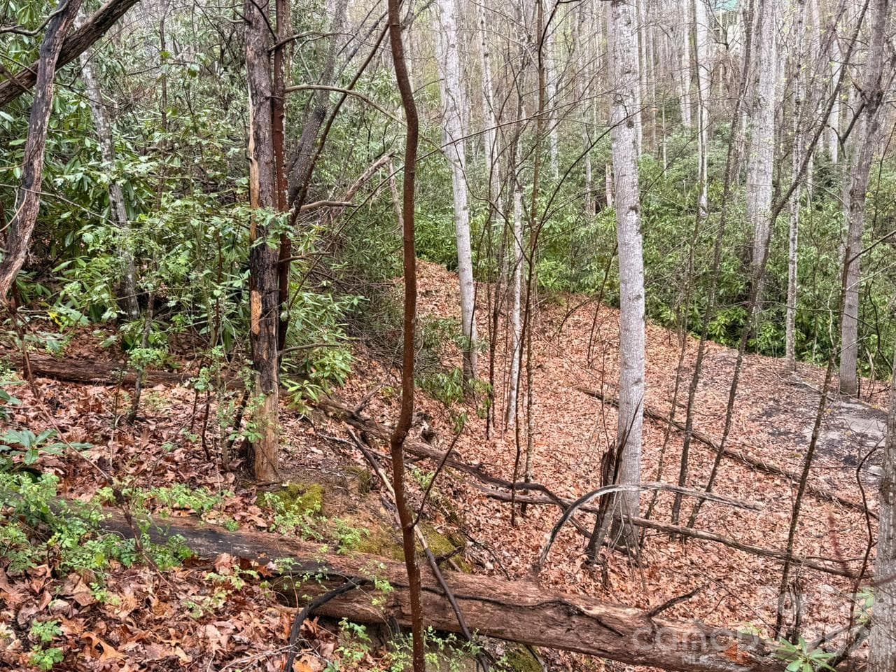 Lot at 000 Ridgeview Drive, Hendersonville, photo 10 of 20