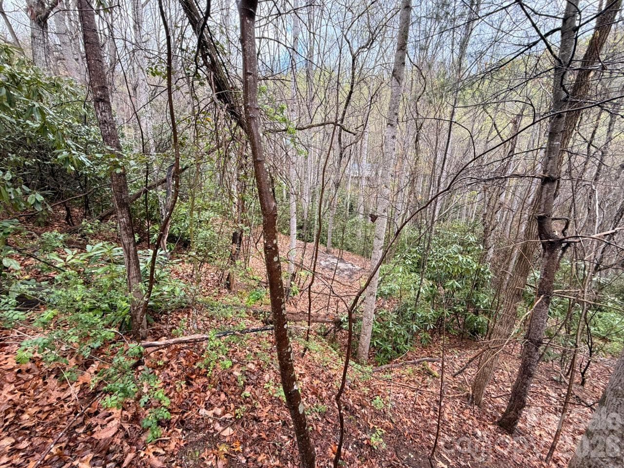Lot at 000 Ridgeview Drive, Hendersonville, photo 12 of 20