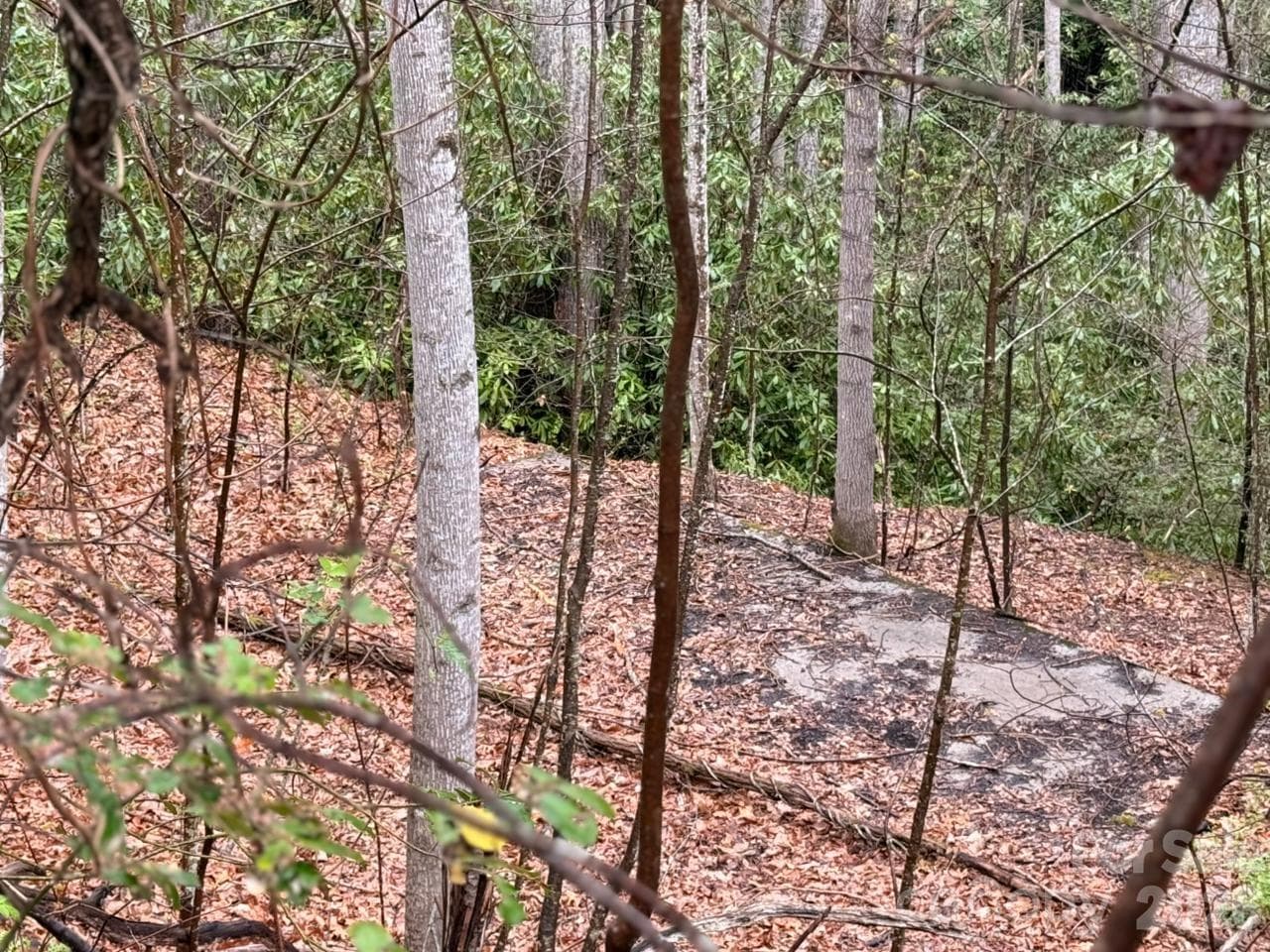 Lot at 000 Ridgeview Drive, Hendersonville, photo 14 of 20