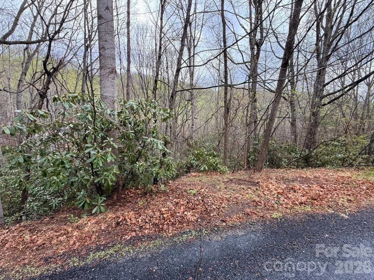 Lot at 000 Ridgeview Drive, Hendersonville, photo 15 of 20