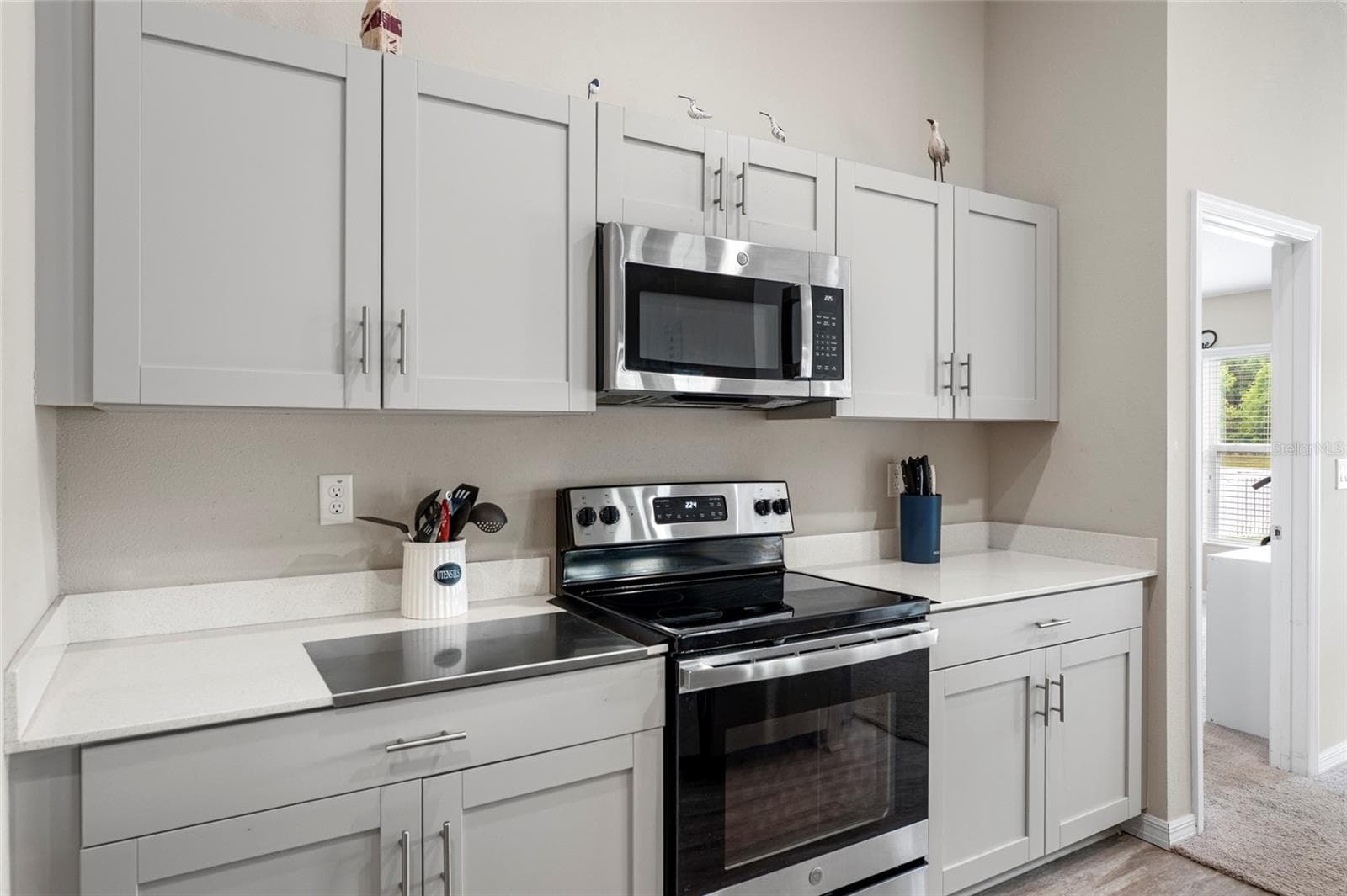 Kitchen with Stainless Steel Appliances - 12690 TANNENCREST DR, RIVERVIEW
