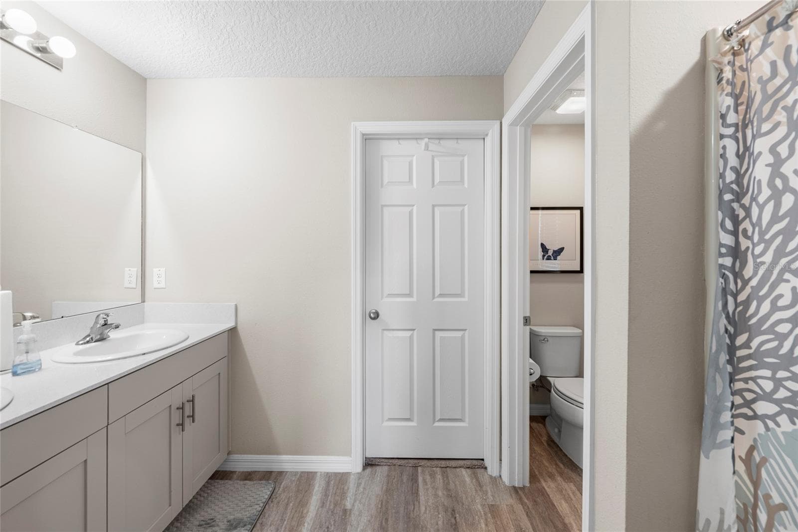 Primary Bathroom - 12690 TANNENCREST DR, RIVERVIEW