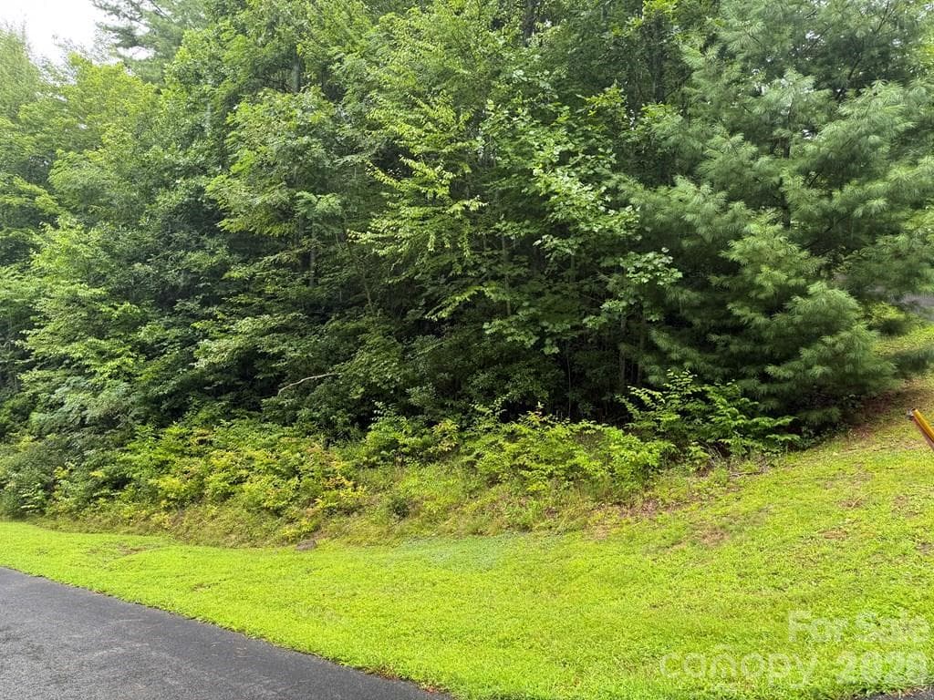 Lot at Sylva, photo 2 of 9