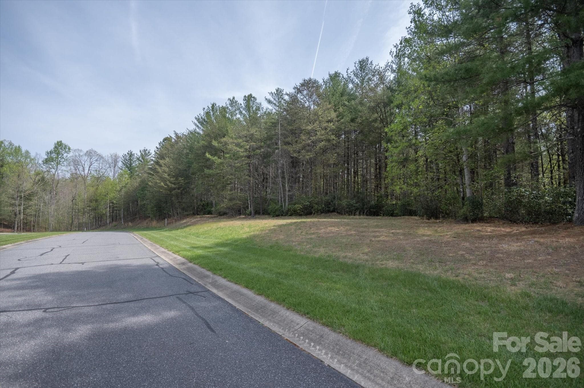 Lot at Nebo, photo 3 of 15