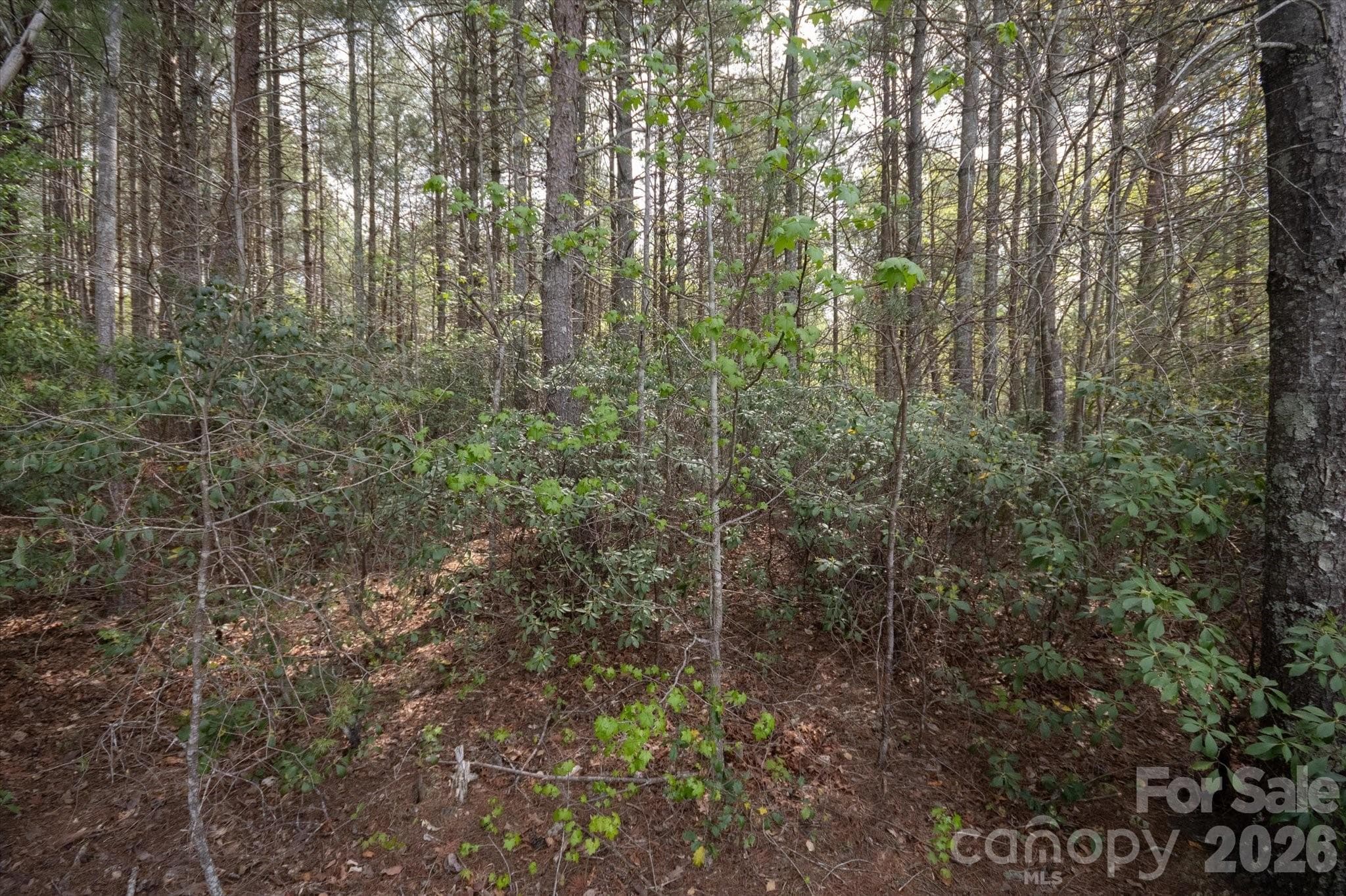 Lot at Nebo, photo 4 of 15