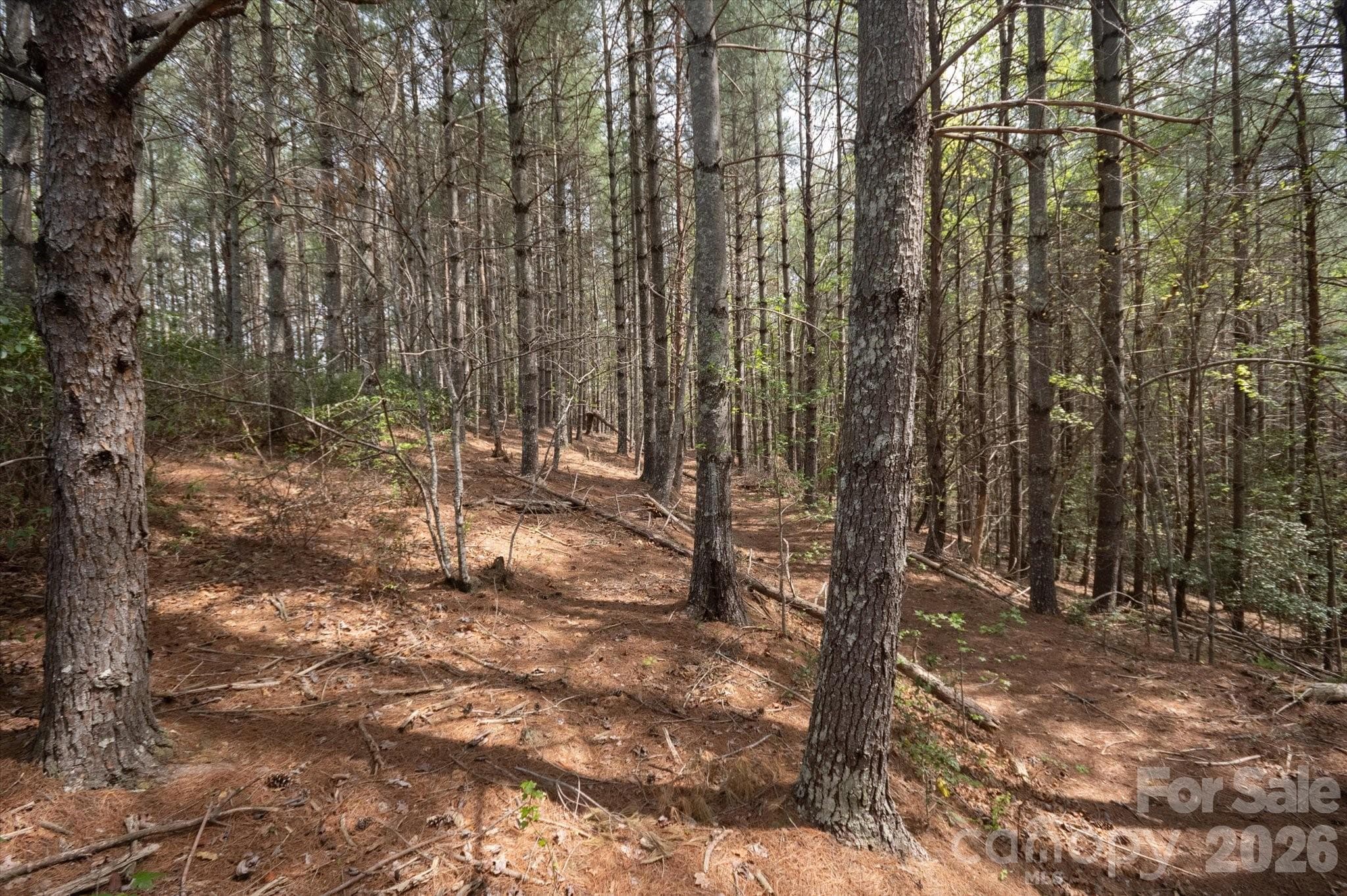 Lot at Nebo, photo 5 of 15