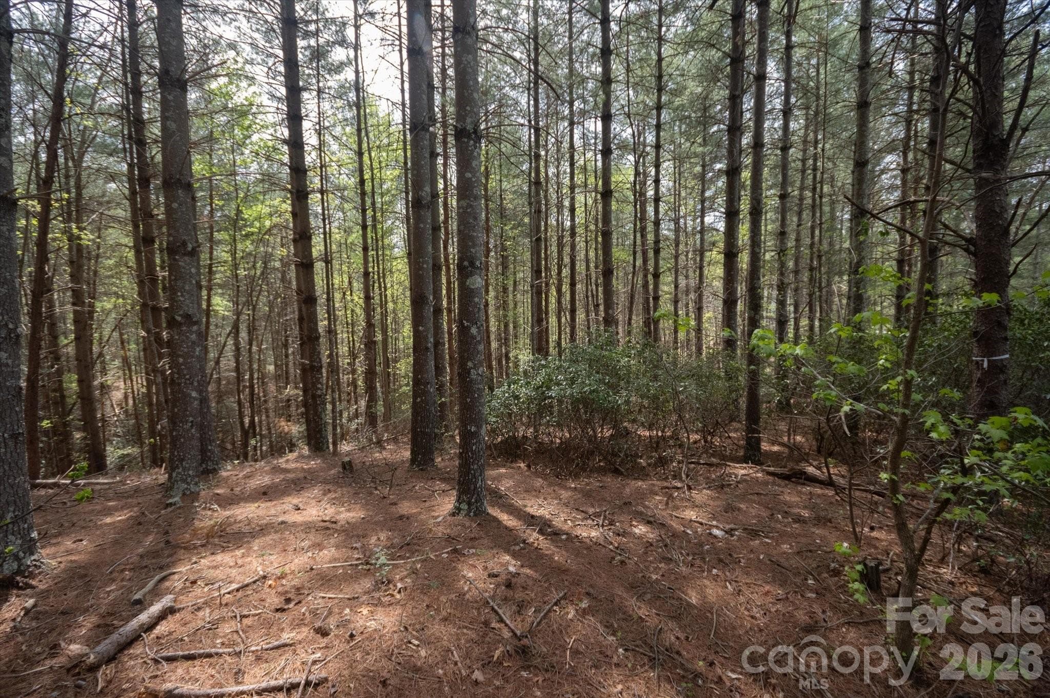 Lot at Nebo, photo 6 of 15