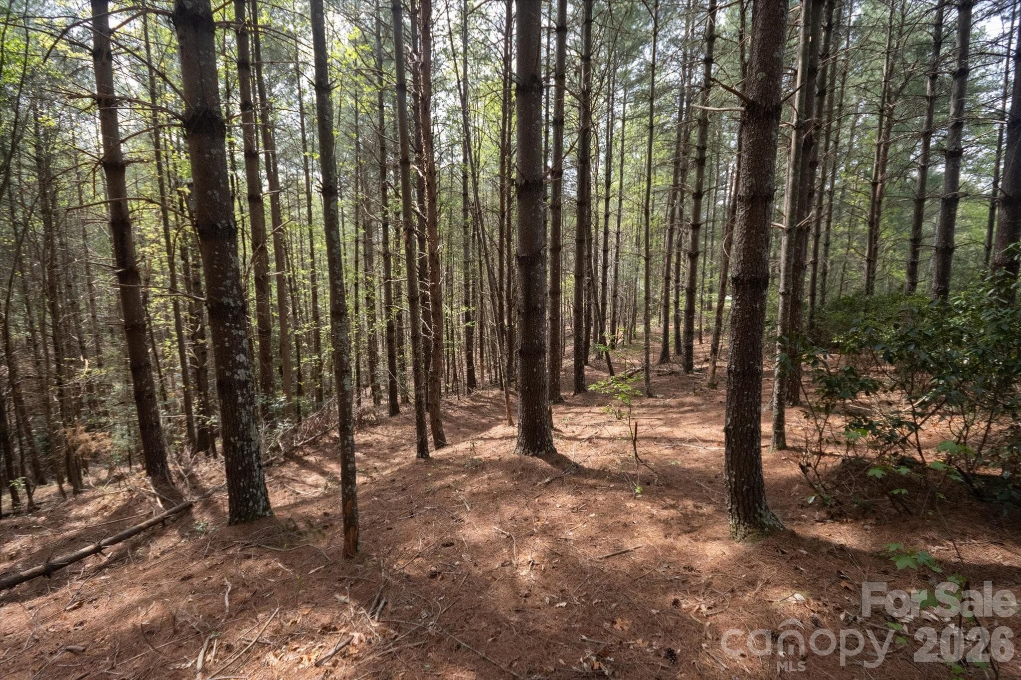 Lot at Nebo, photo 7 of 15