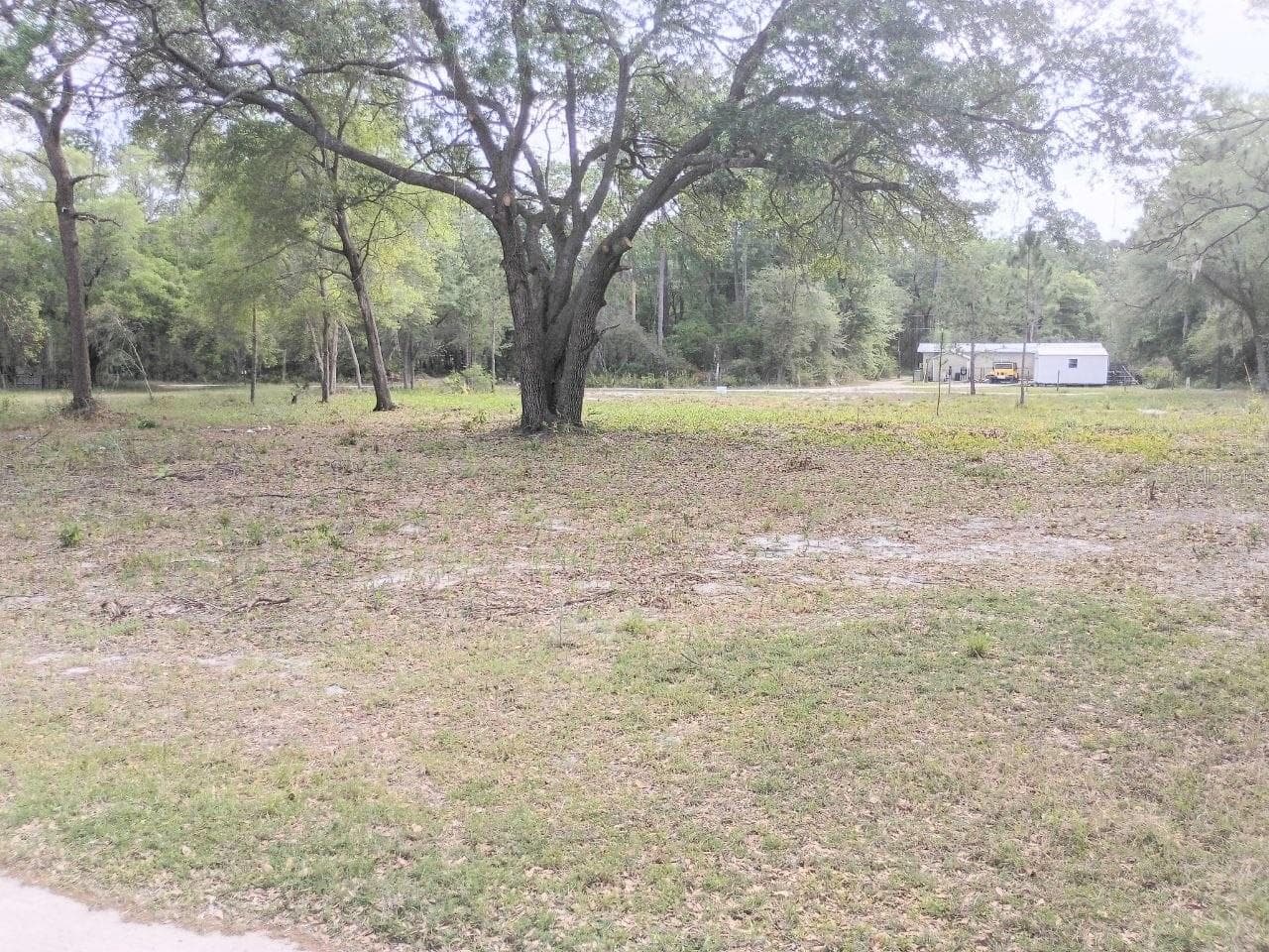 Land at NE 141ST CT, FORT MC COY, photo 5 of 5