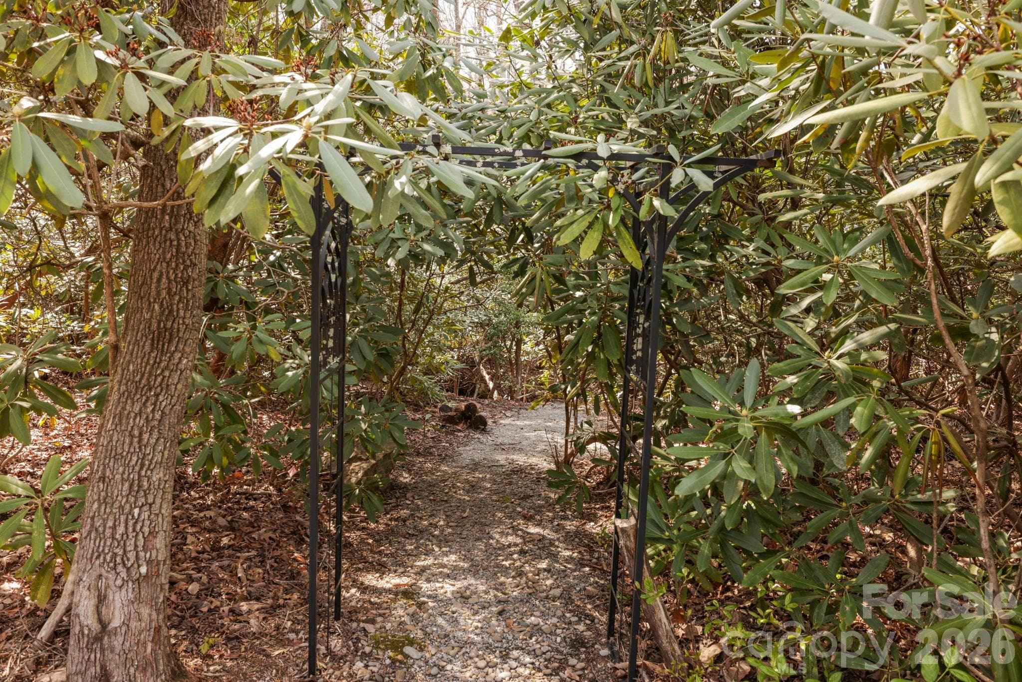 Walking trails lead to a creek - 100 Elmridge Drive, Flat Rock