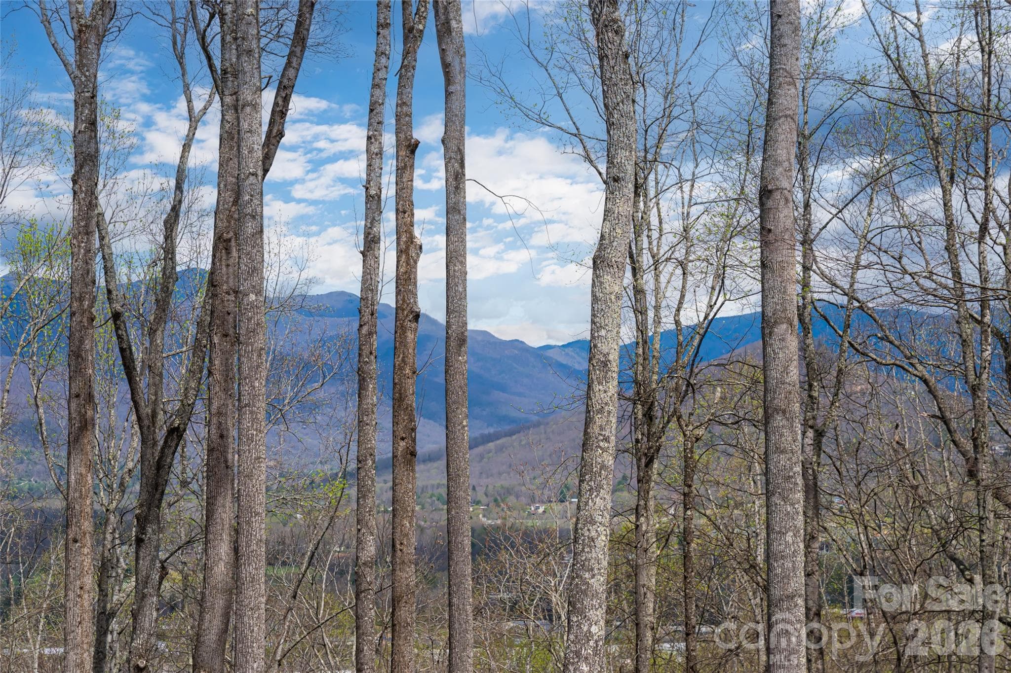 View, views, views - 51 Summit Road, Swannanoa