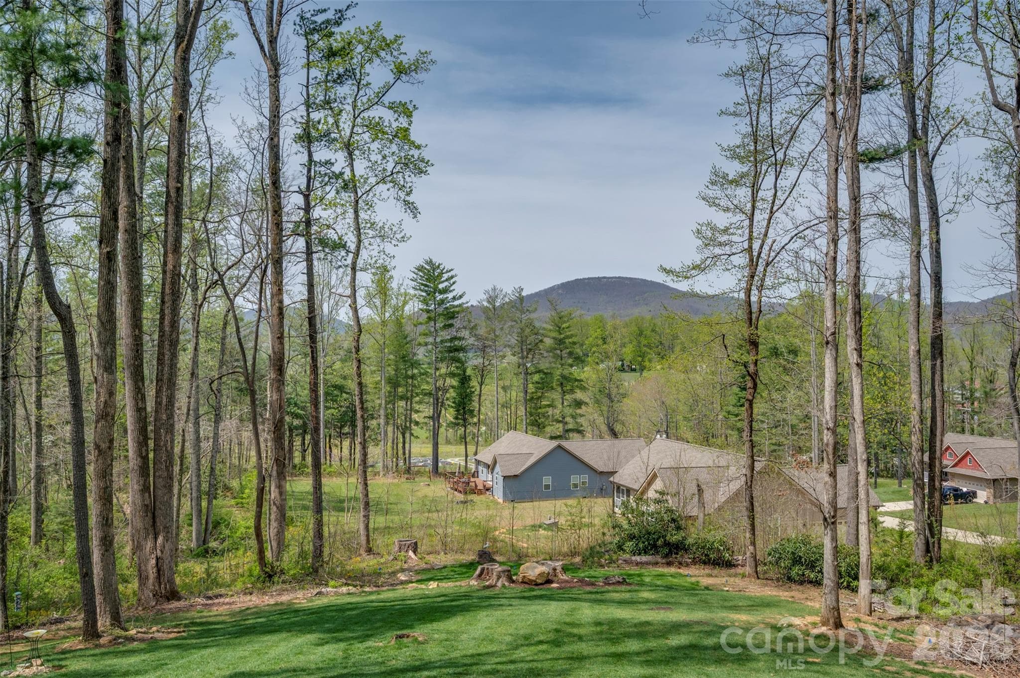 Single Family Residence at 88 Pounding Mill None, Hendersonville, photo 7 of 48